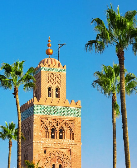 Blue sky, palm trees and the top of a building in Marrakech