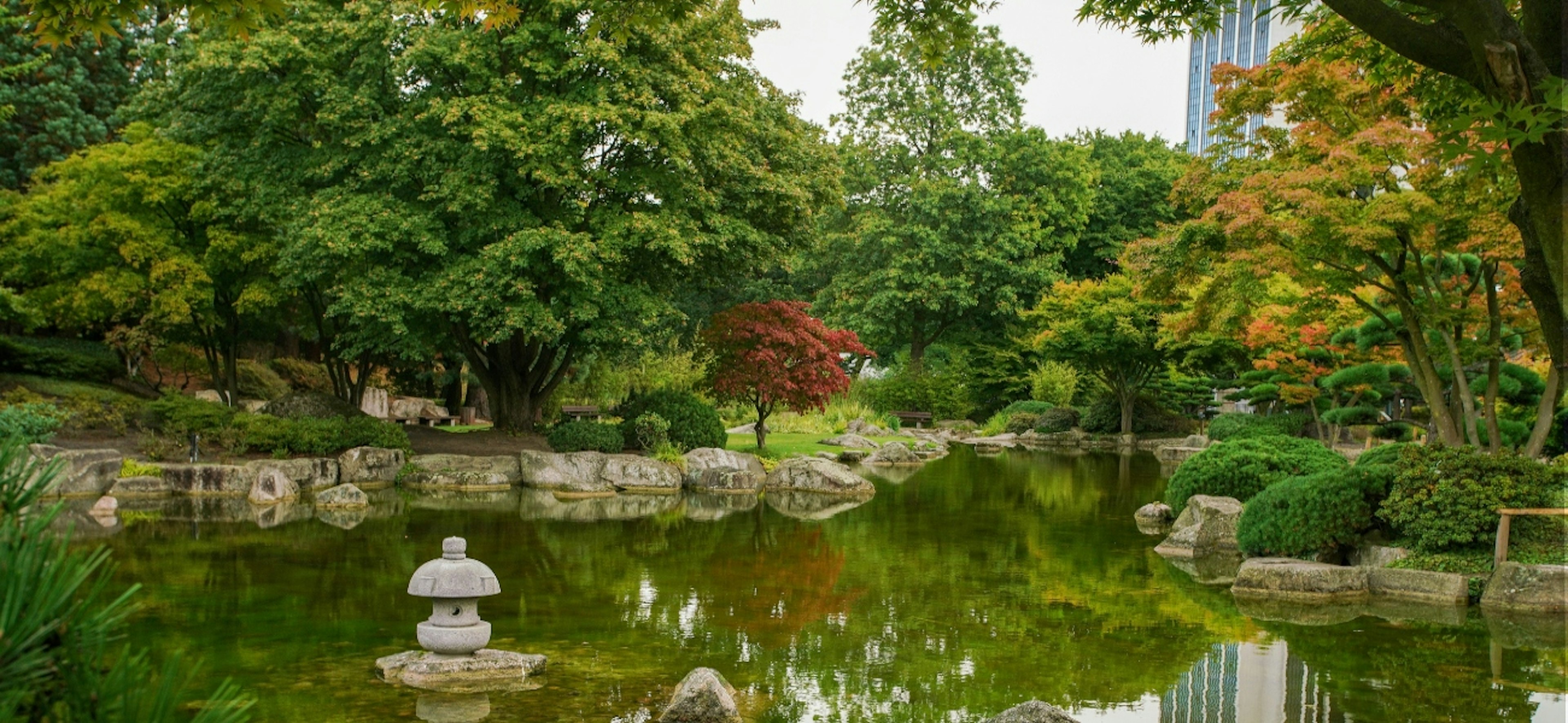 A view of the Japanese Garden in Hamburg with the autumn color of the leaves of the pond and the reflections in the water