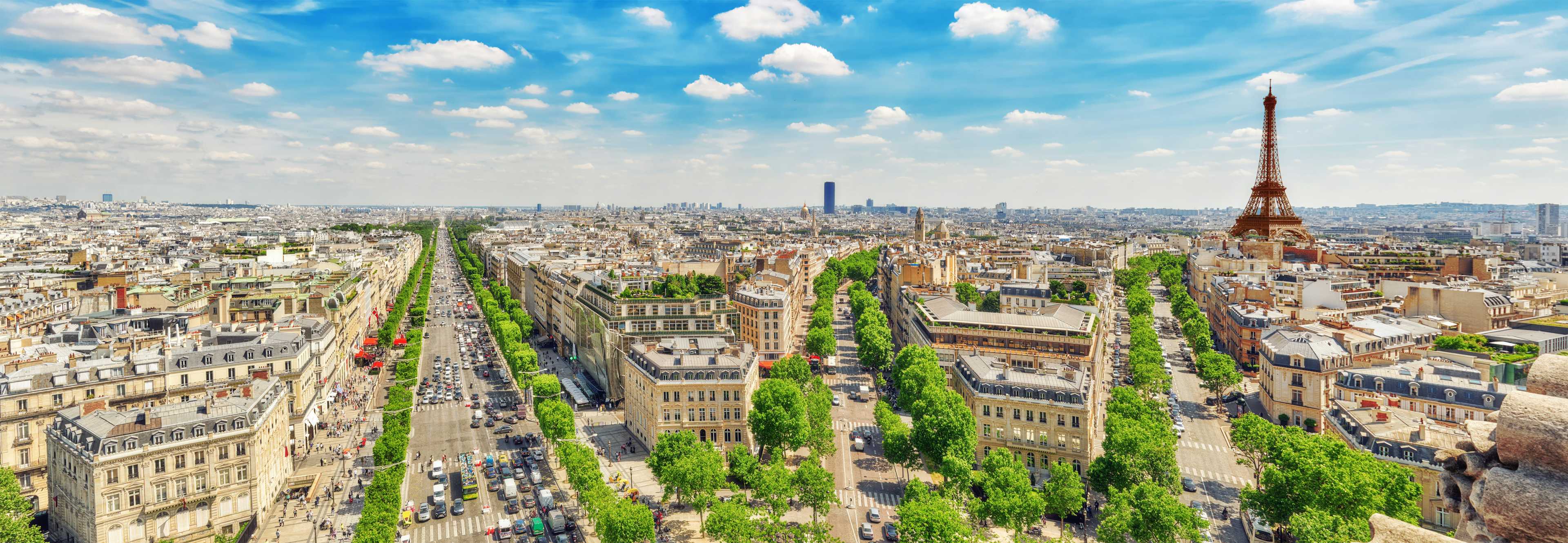 Paris_summer_trees