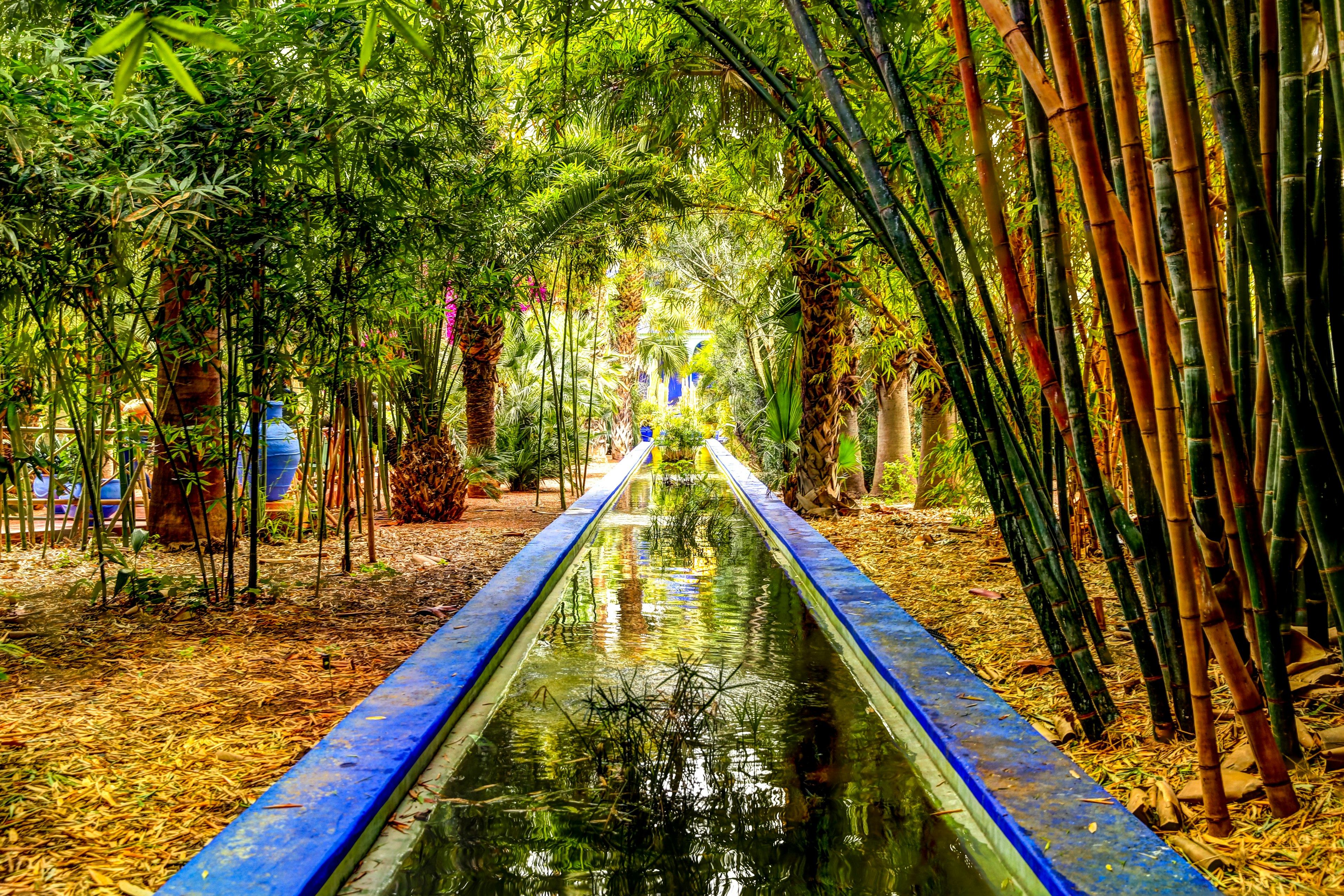 A colorful image of a pond with blue edges and a small forest like surroundings in Marrakech.
