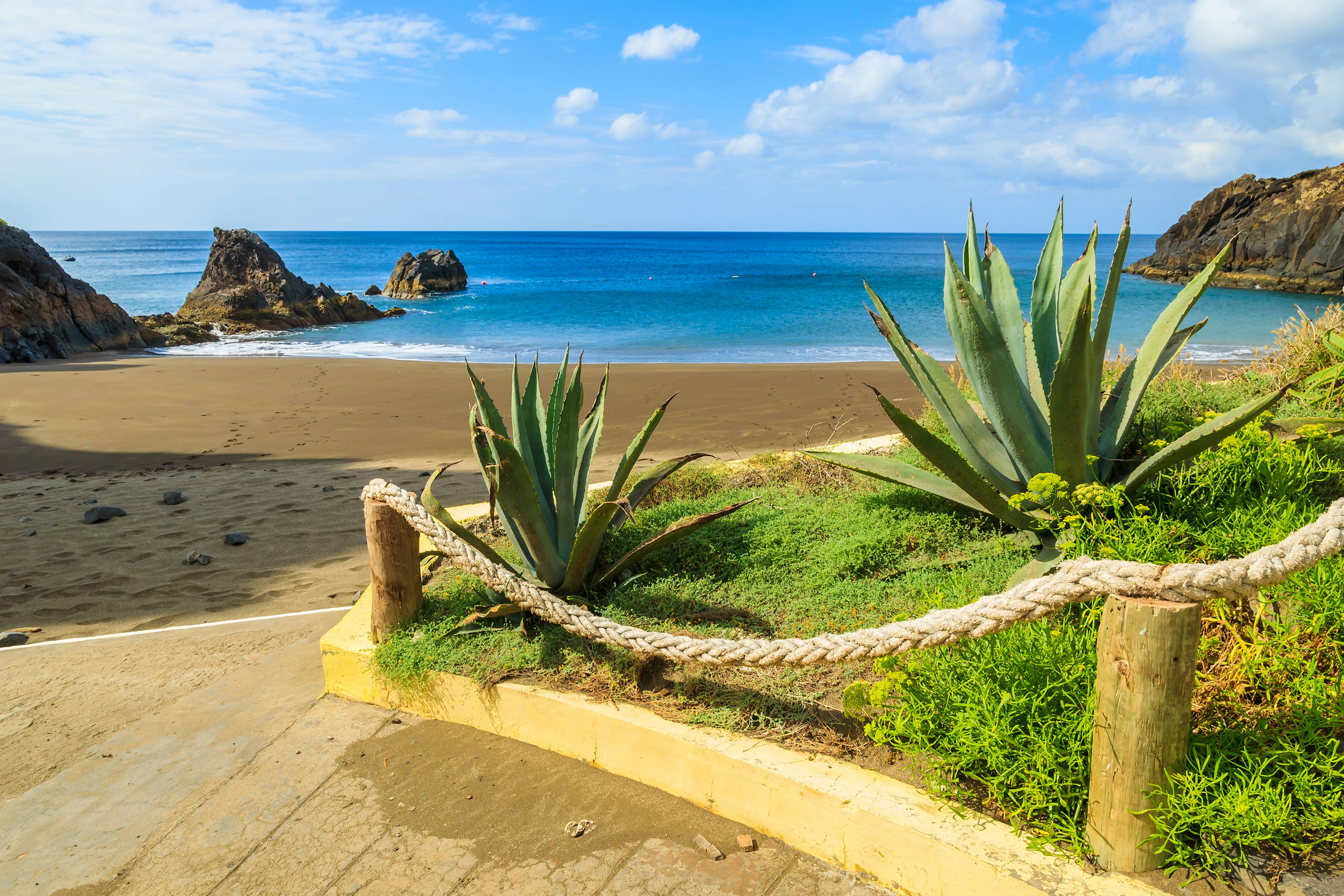 Blue ocean and a beach with some plants on the side in Madeira