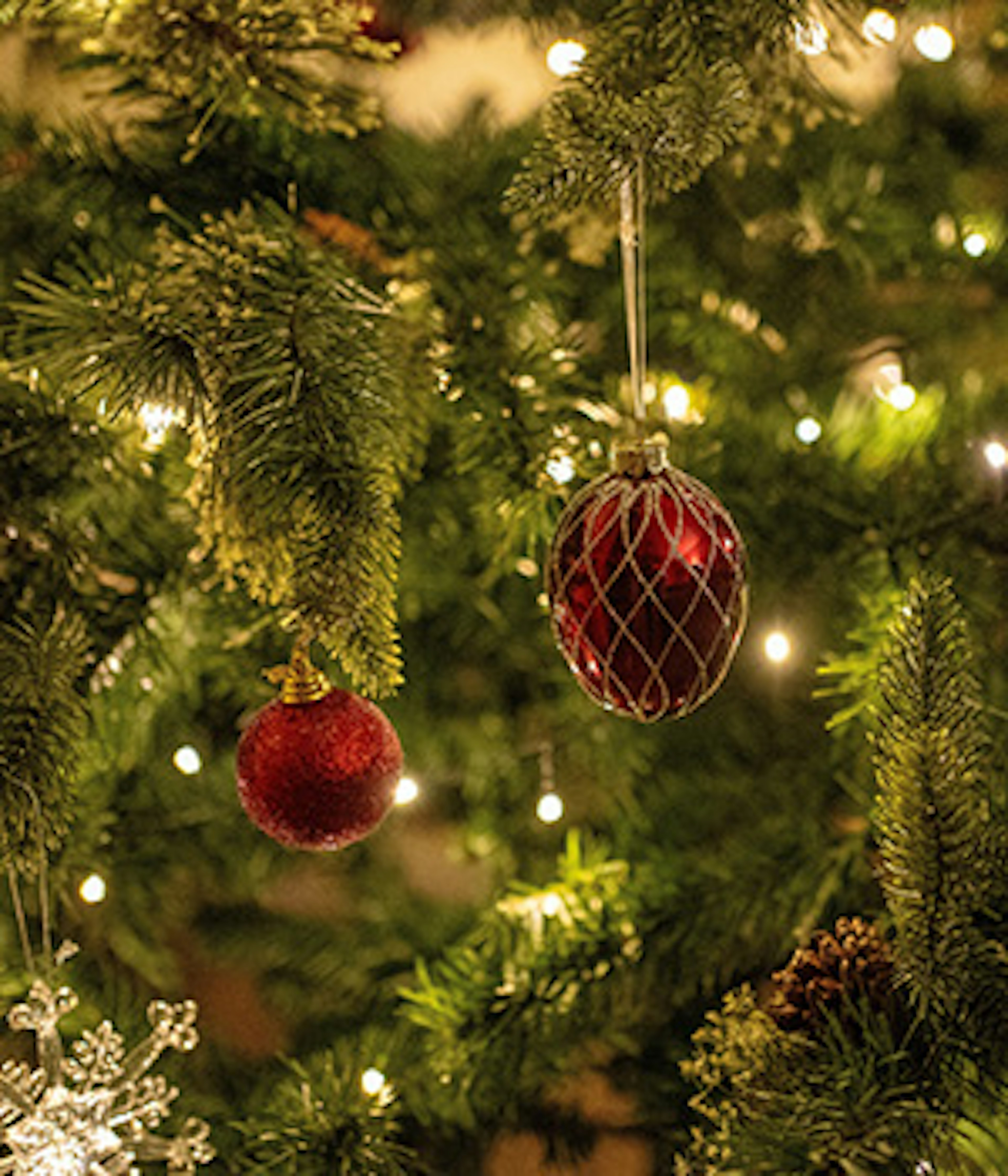 Red and gold Christmas ornaments on a lit up Christmas tree in Vilnius