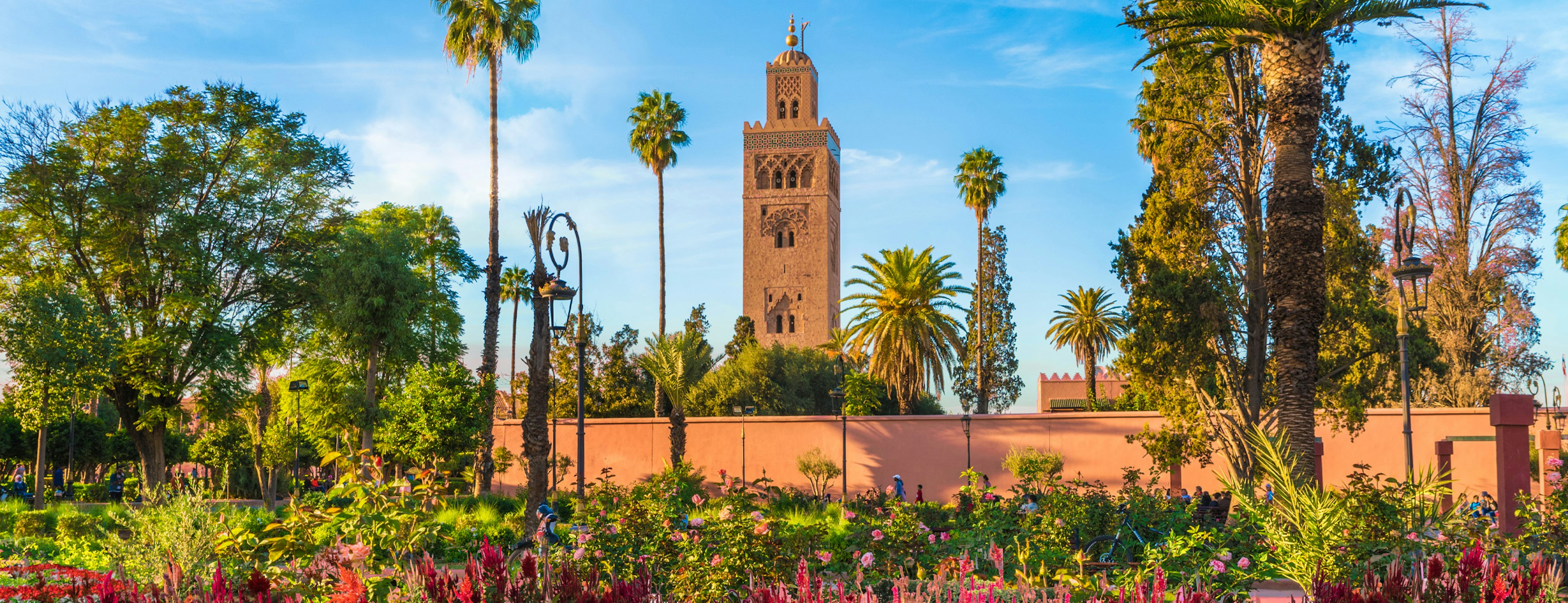 A beautiful building surrounded by greenery and palm trees in Marrakech