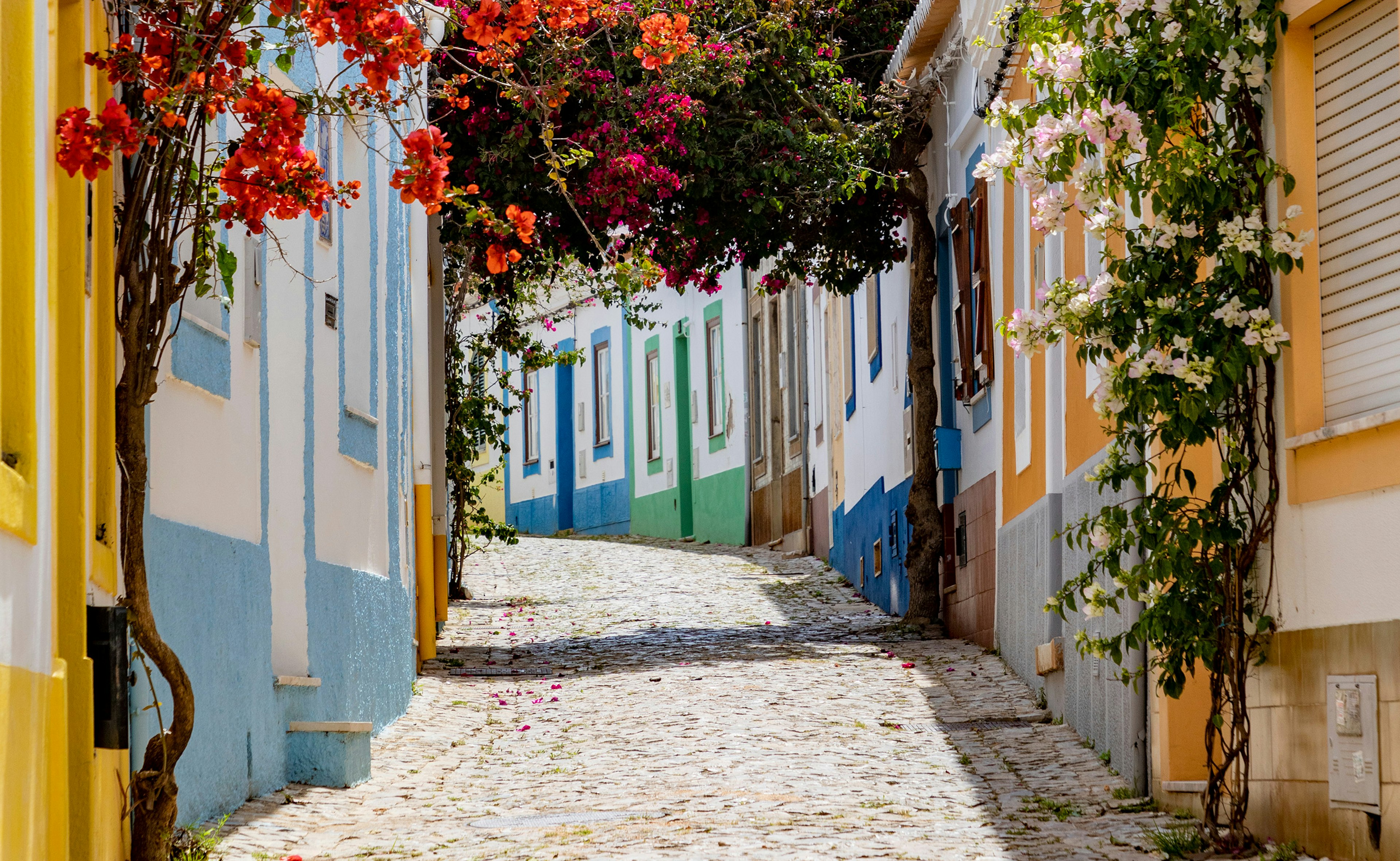 A narrow street in the old town of Faro with colorful buildings.