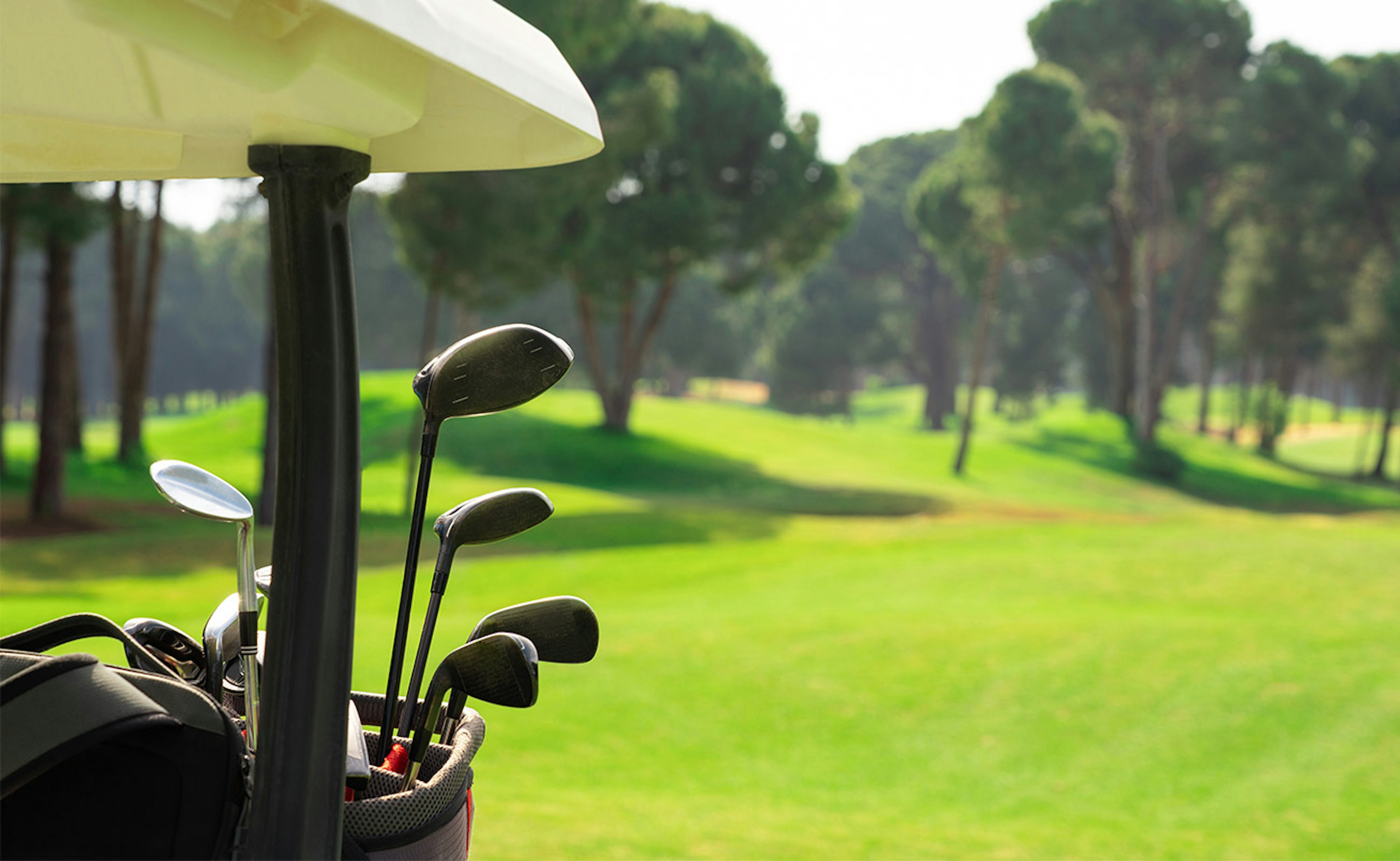 Set of golf clubs in golf bags in the back of a golf cart on a beautiful golf course with pines in Belek, near Antalya in Turkey.