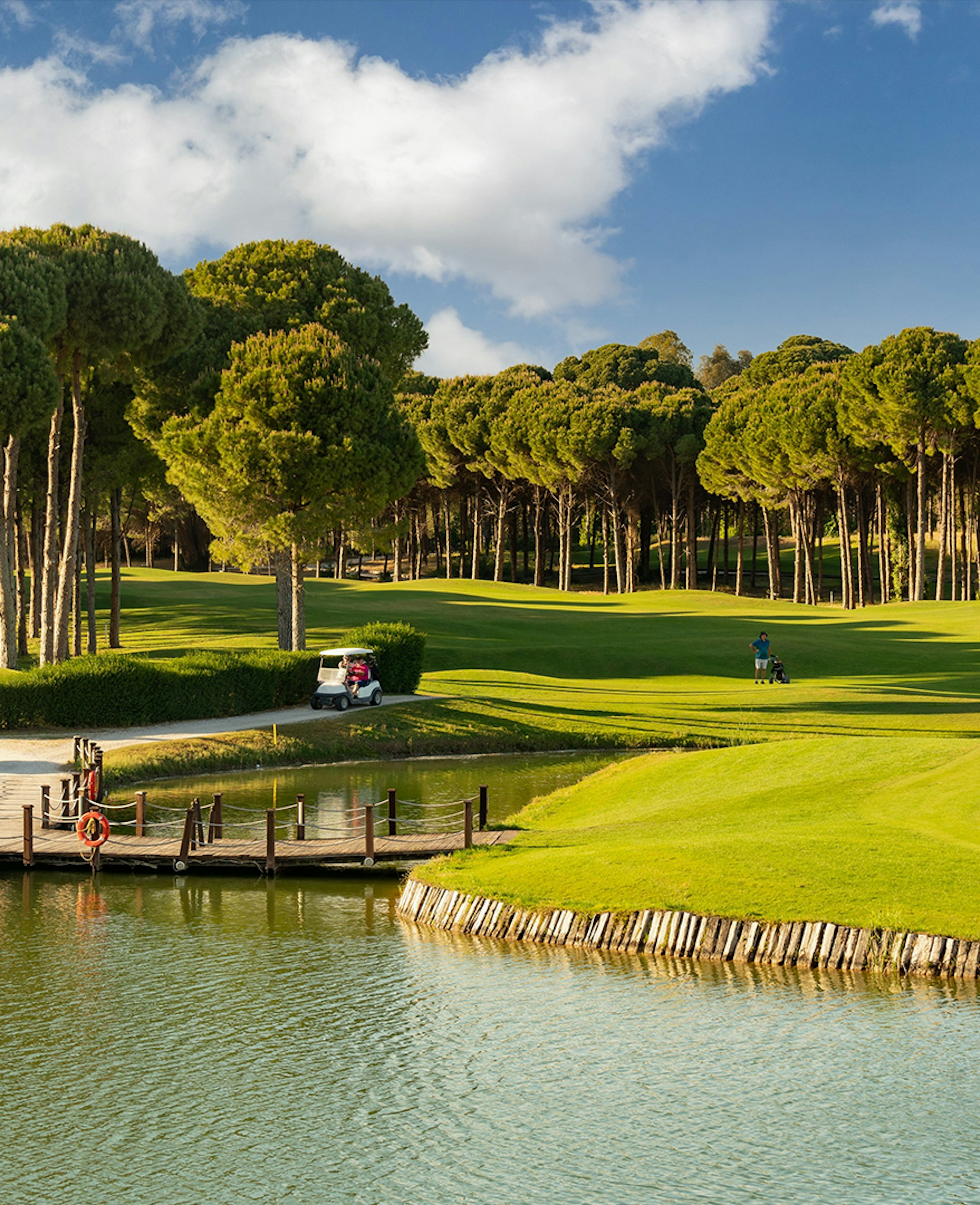 A green golf course with green lush trees and a lake