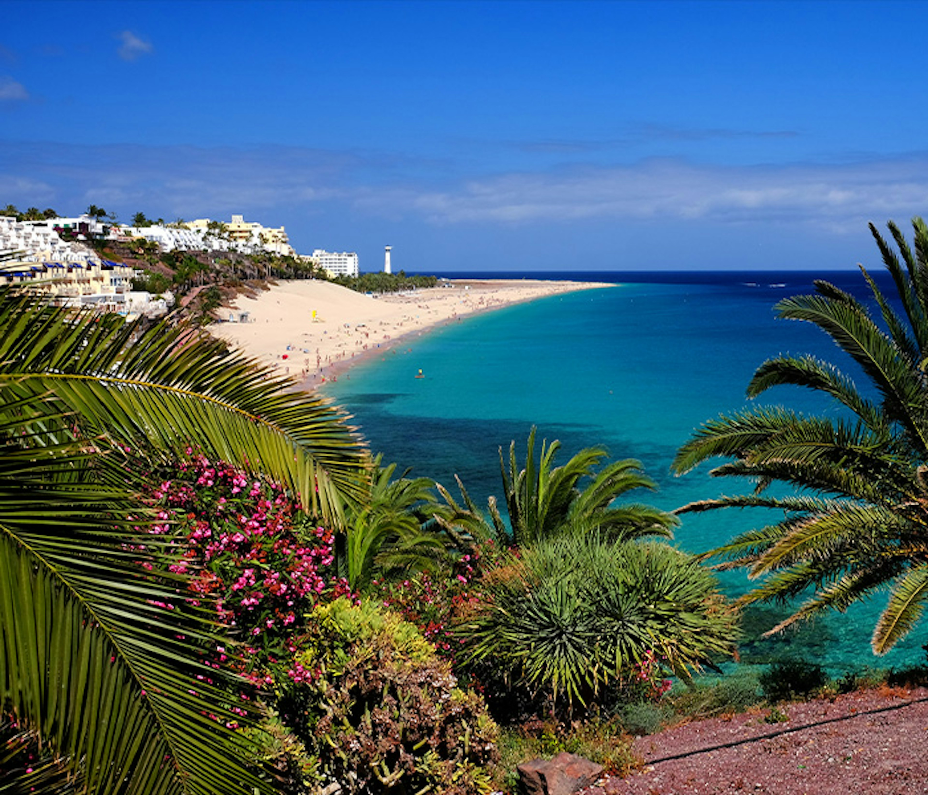 The white beach and clear blue seas of Fuerteventura