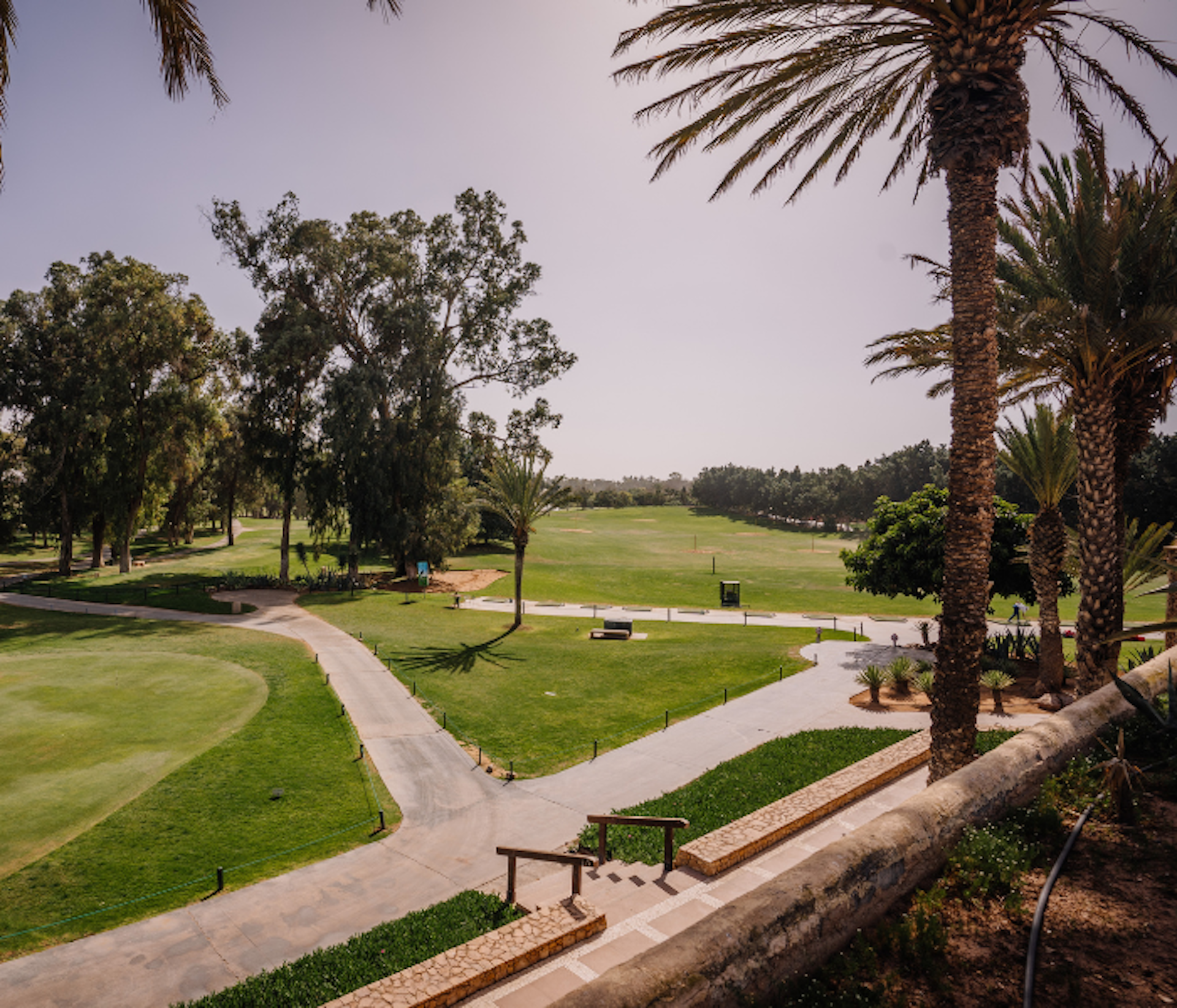 green golf course with palm trees in Agadir Morocco