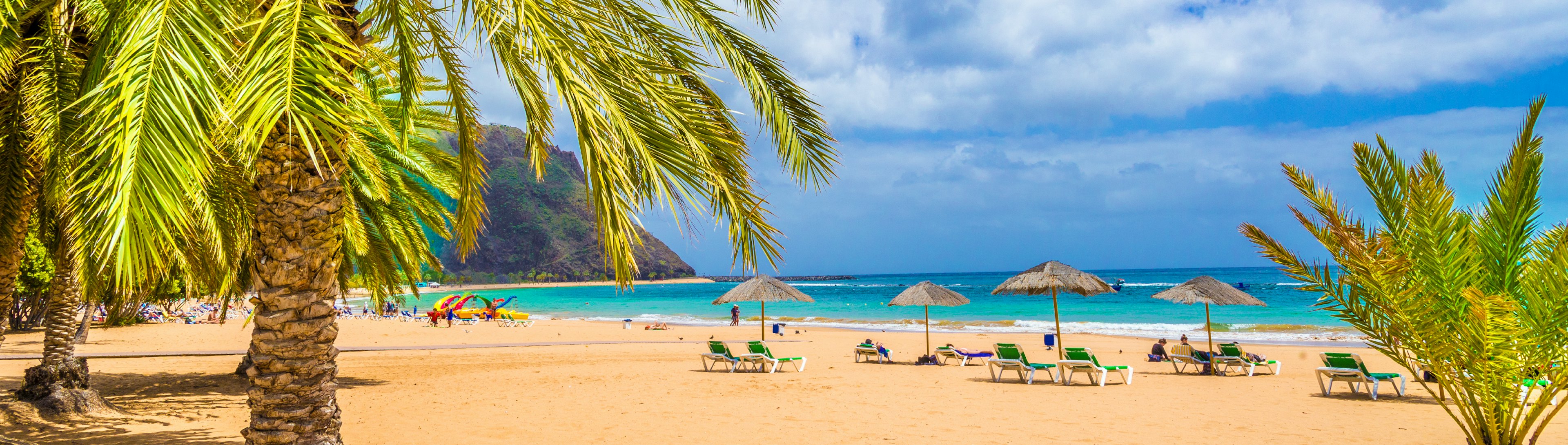 Dreamy beach with palm trees in Tenerife Spain