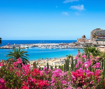 Beautiful view of the beach with pink flowers in the foreground at Gran Canaria in the Canary Islands
