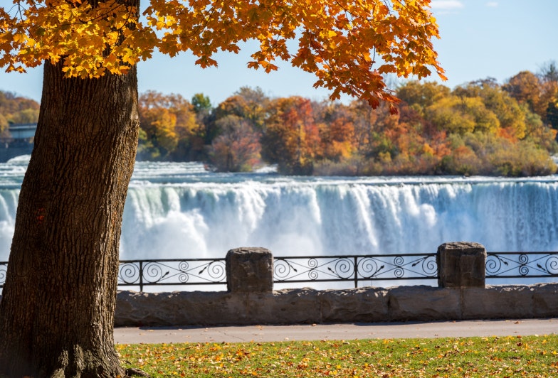 Niagara Falls Autumn Maple