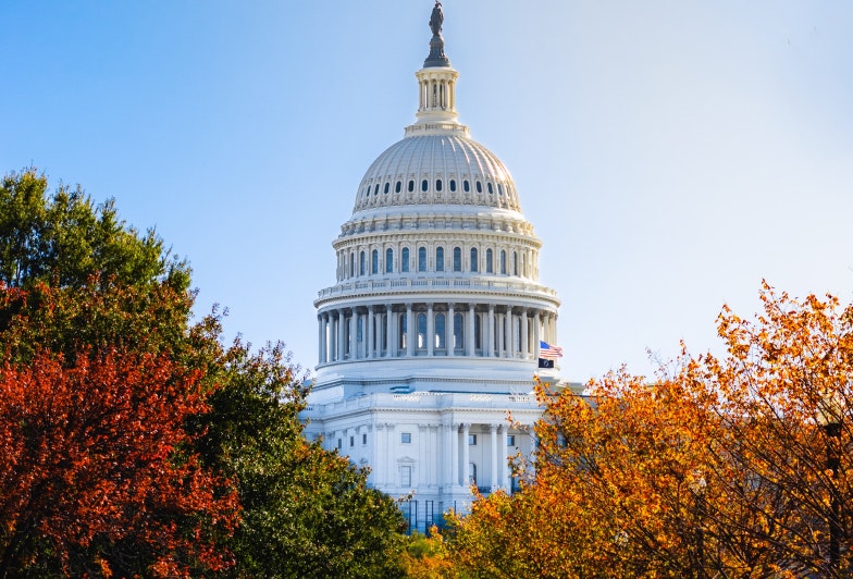 Washington DC Capitol Fall