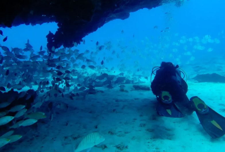 Diving around Fuerteventura with fish