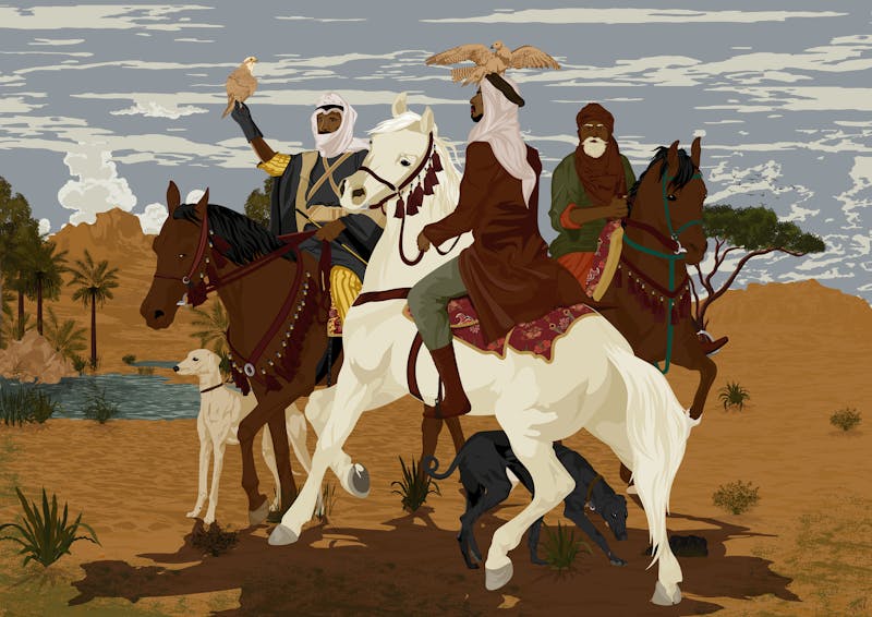 فن البوب - دكتور طز