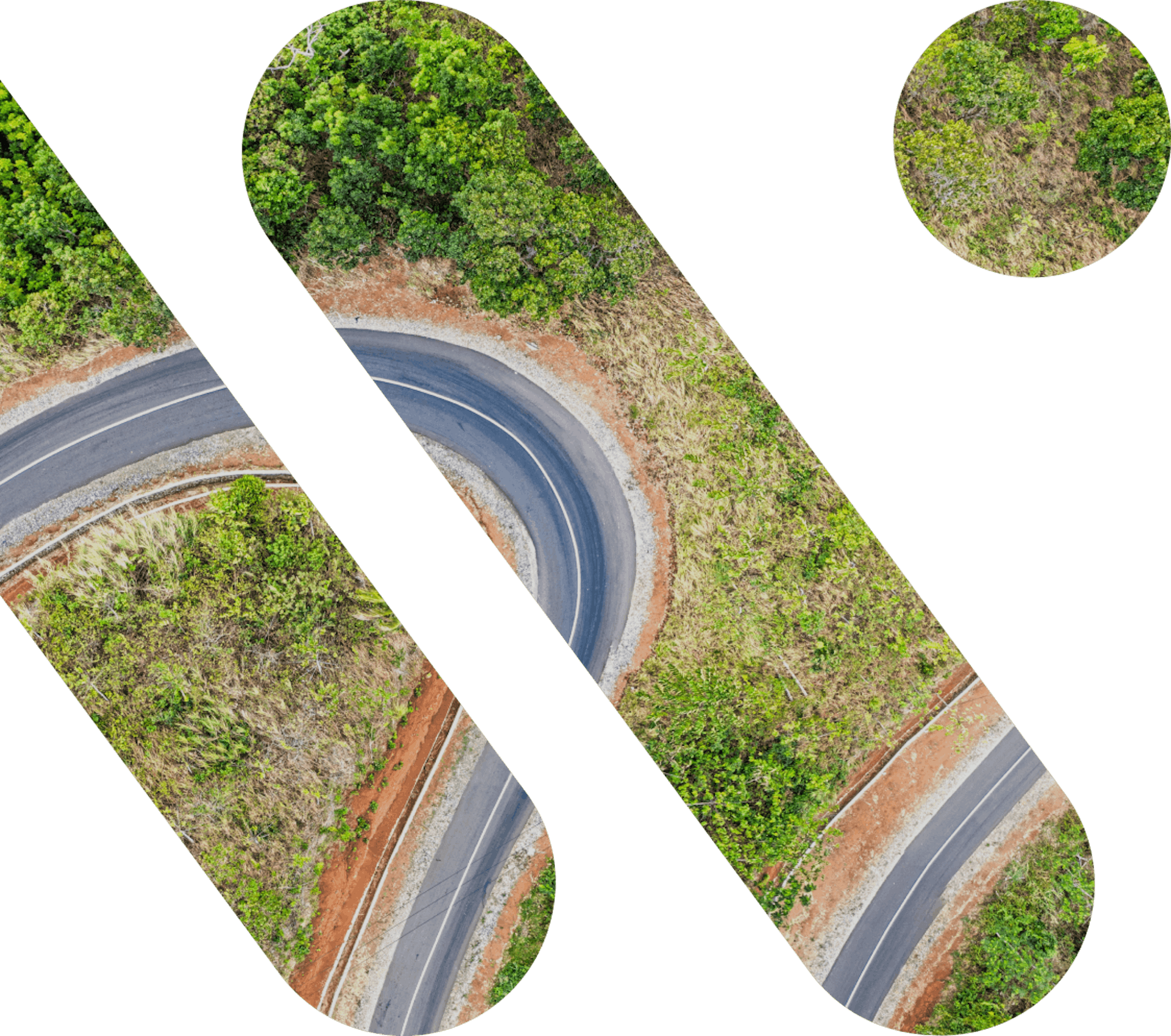 Road in the forest embedded in Wakeo logo