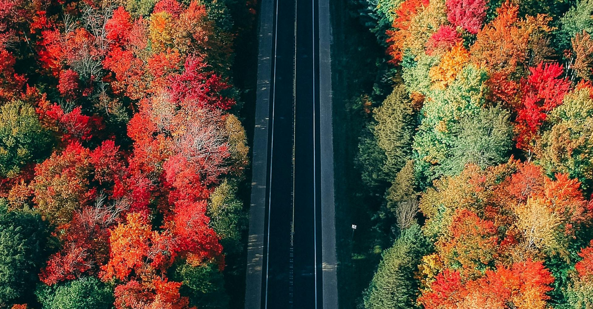 WAKEO Blogpost: Reduce transport emissions by raising supply chain visibility