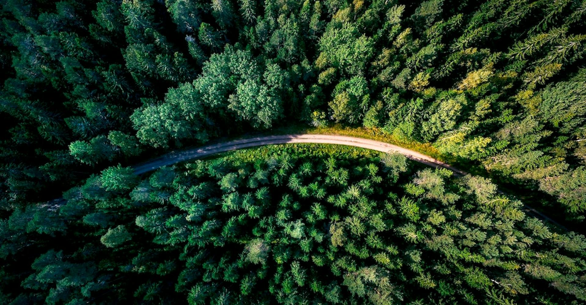 Decarbonizing global freight: 4 concrete actions for shippers to decrease scope 3 emissions