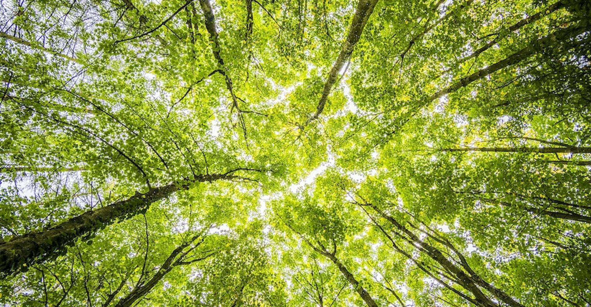 Wakeo blogpost: Real-time visibility to drive supply chain sustainability