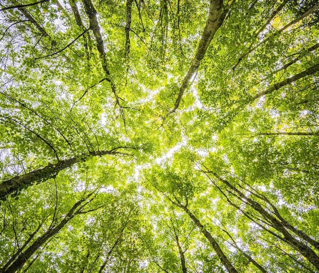 Insights on decarbonization of logistics – a shipper’s perspective