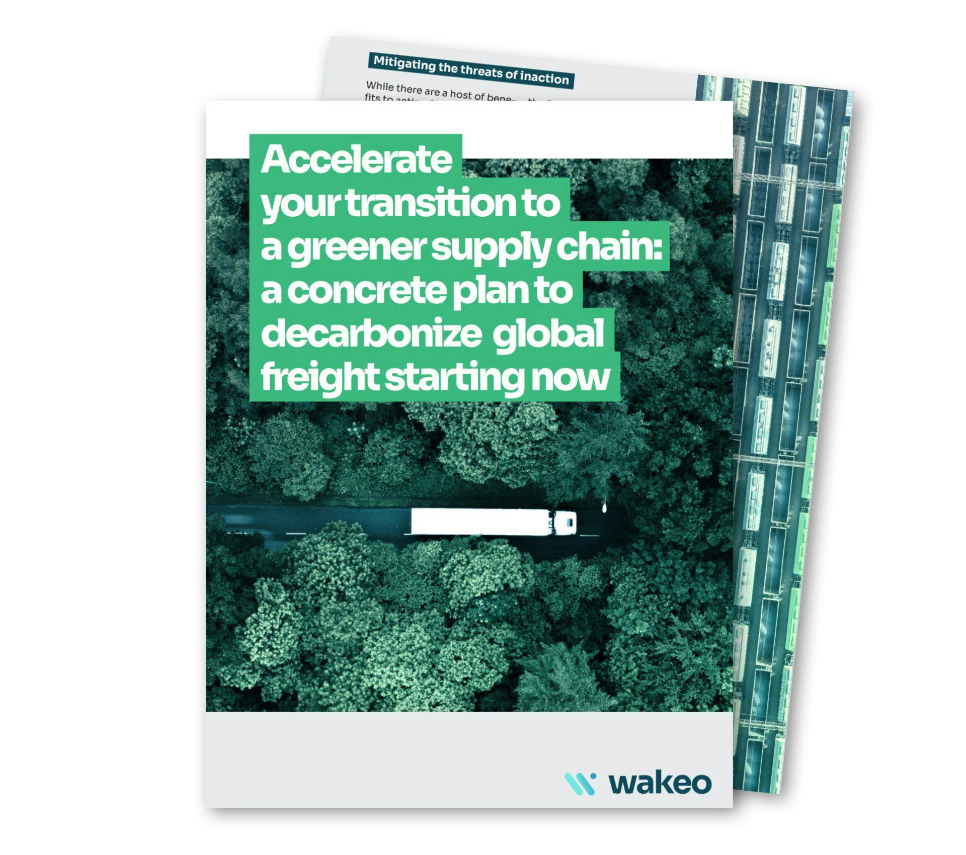 decarbonization white paper preview