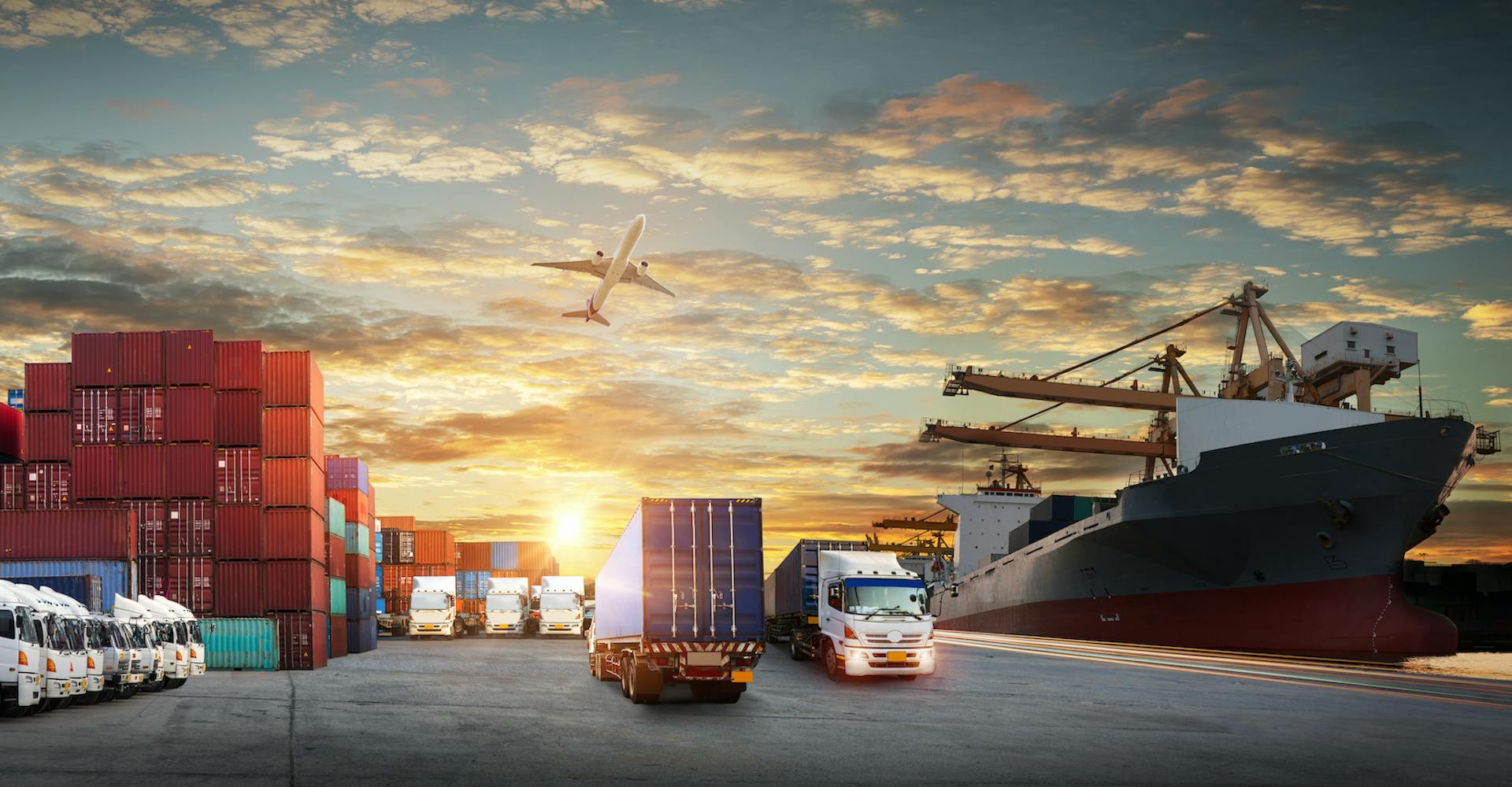 A glimpse into the world of reliability in shipping