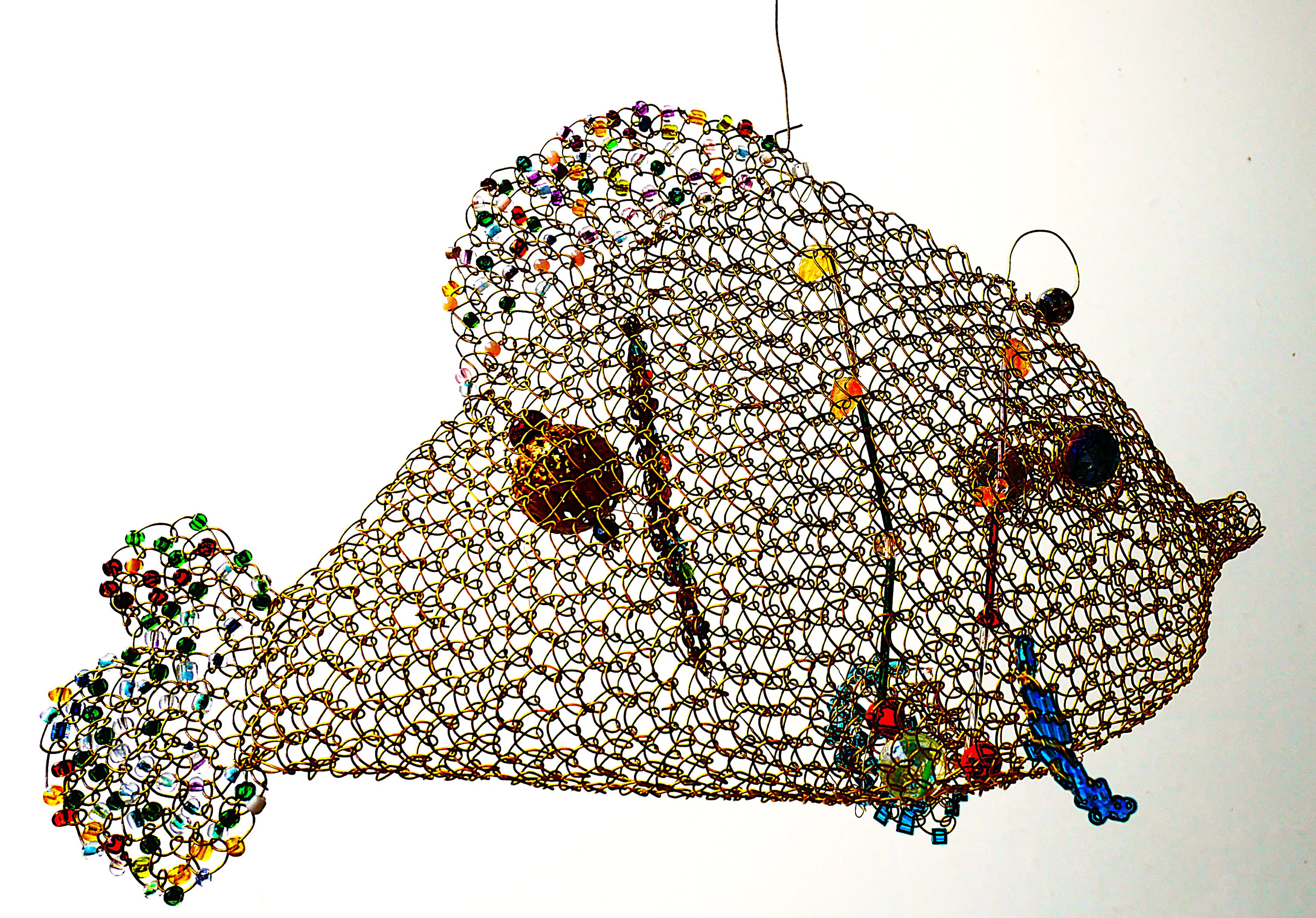 Ryba ,której nie przyznano kredytu