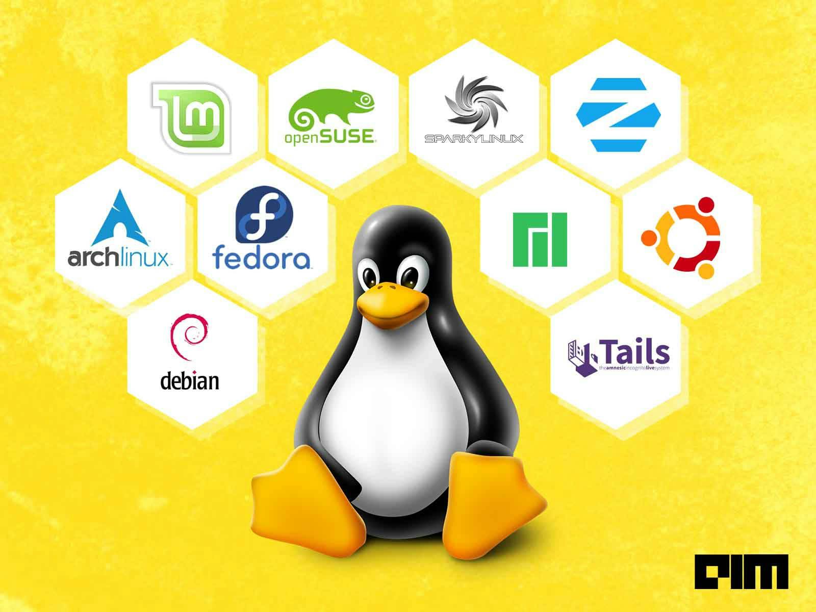 O Tux, mascote do Linux, rodeado do logotipo de diversas distribuiçoes Linux: Arch Linux, Debian, Linux Mint, OpenSUSE, Fedora, Zorin OS, Manjaro, Ubuntu, dentre outras.