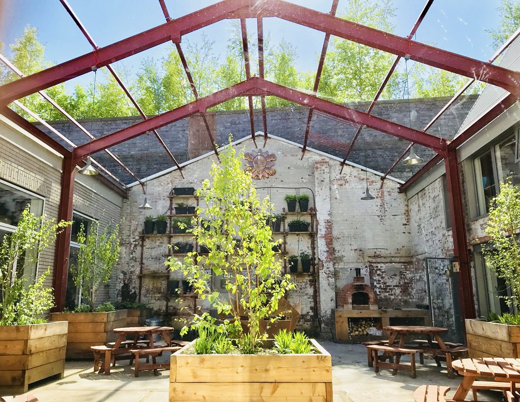 An open courtyard with a red steel roof beams, a green tree sits in the centre basking in the sunlight