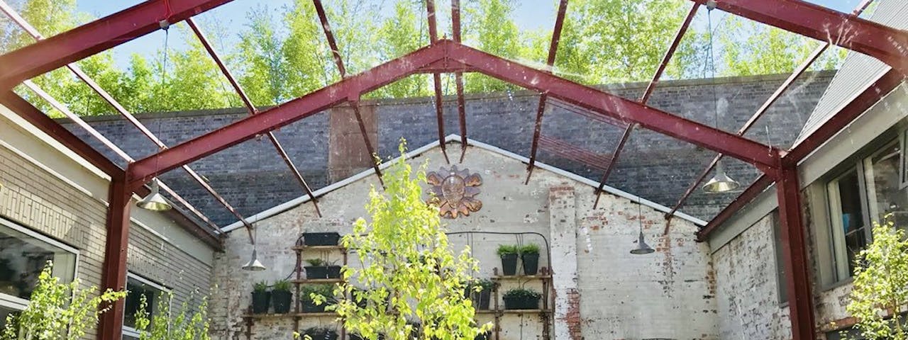 An open courtyard with a red steel roof beams, a green tree sits in the centre basking in the sunlight