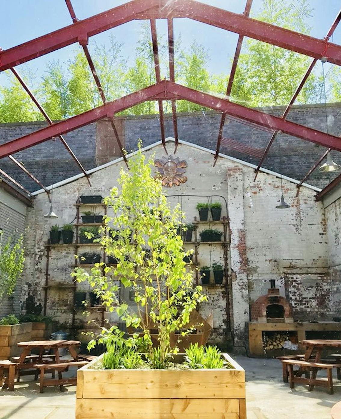 An open courtyard with a red steel roof beams, a green tree sits in the centre basking in the sunlight