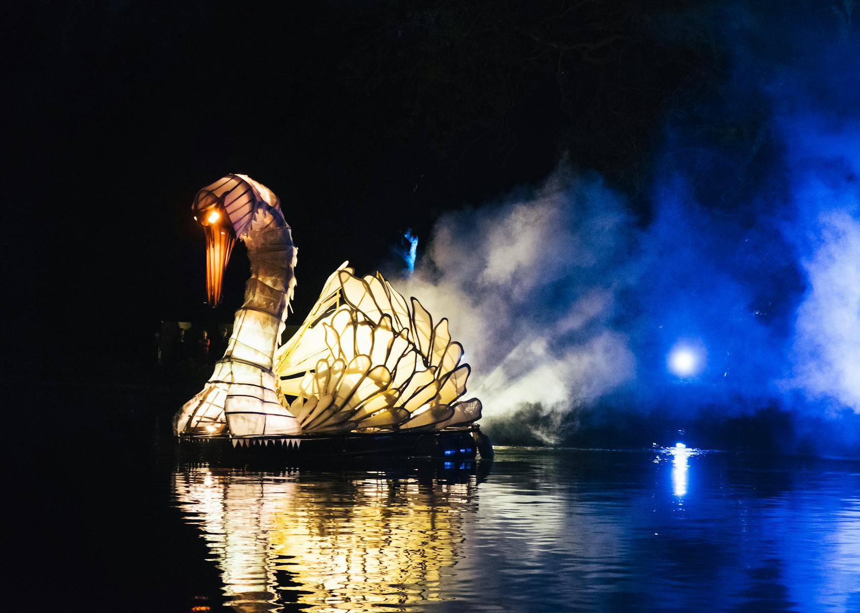 A large swan travelling along the water, lit from the inside and emerging from fog