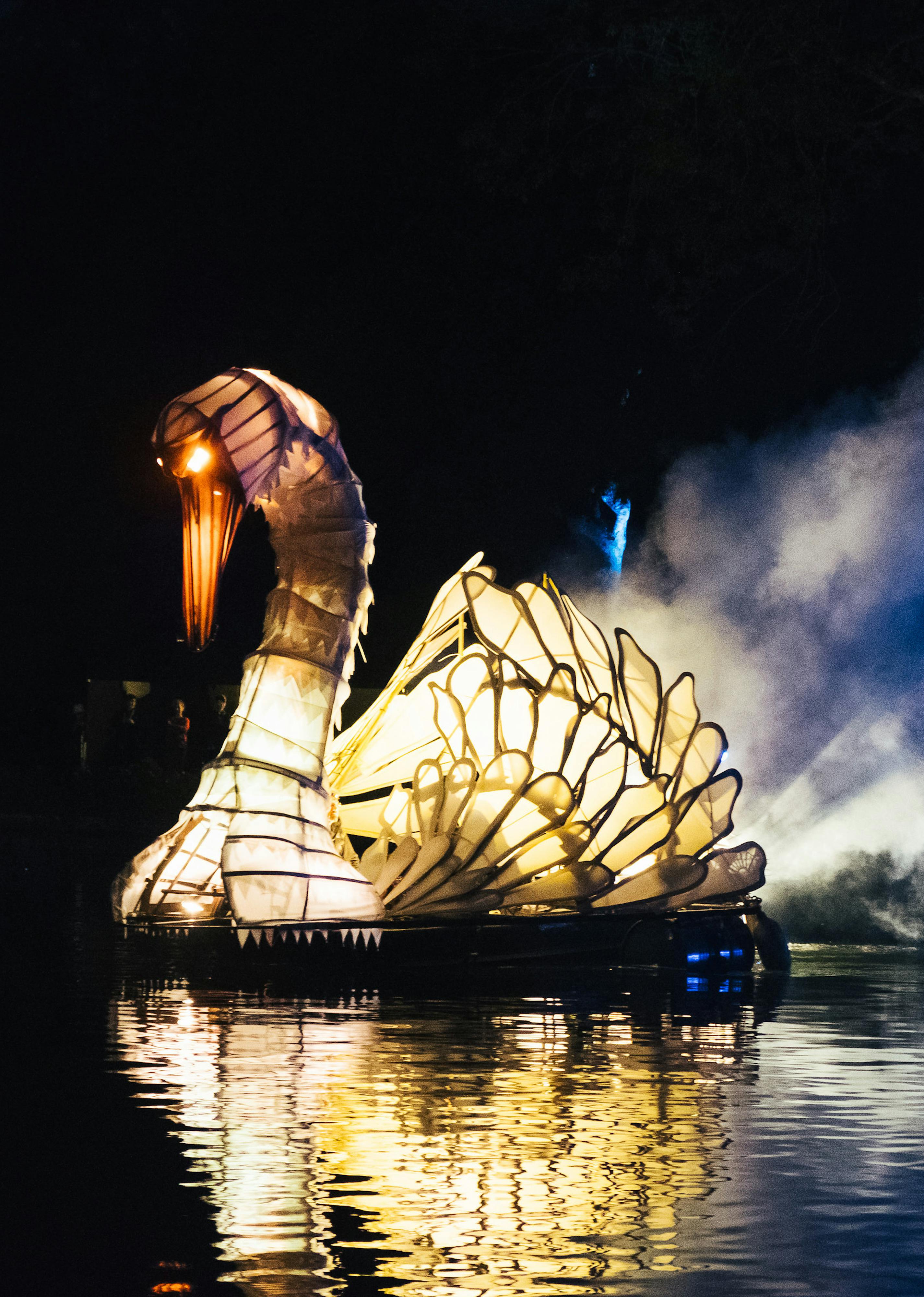 A large Swan travelling along the water, it is lit from the inside and coming out of fog
