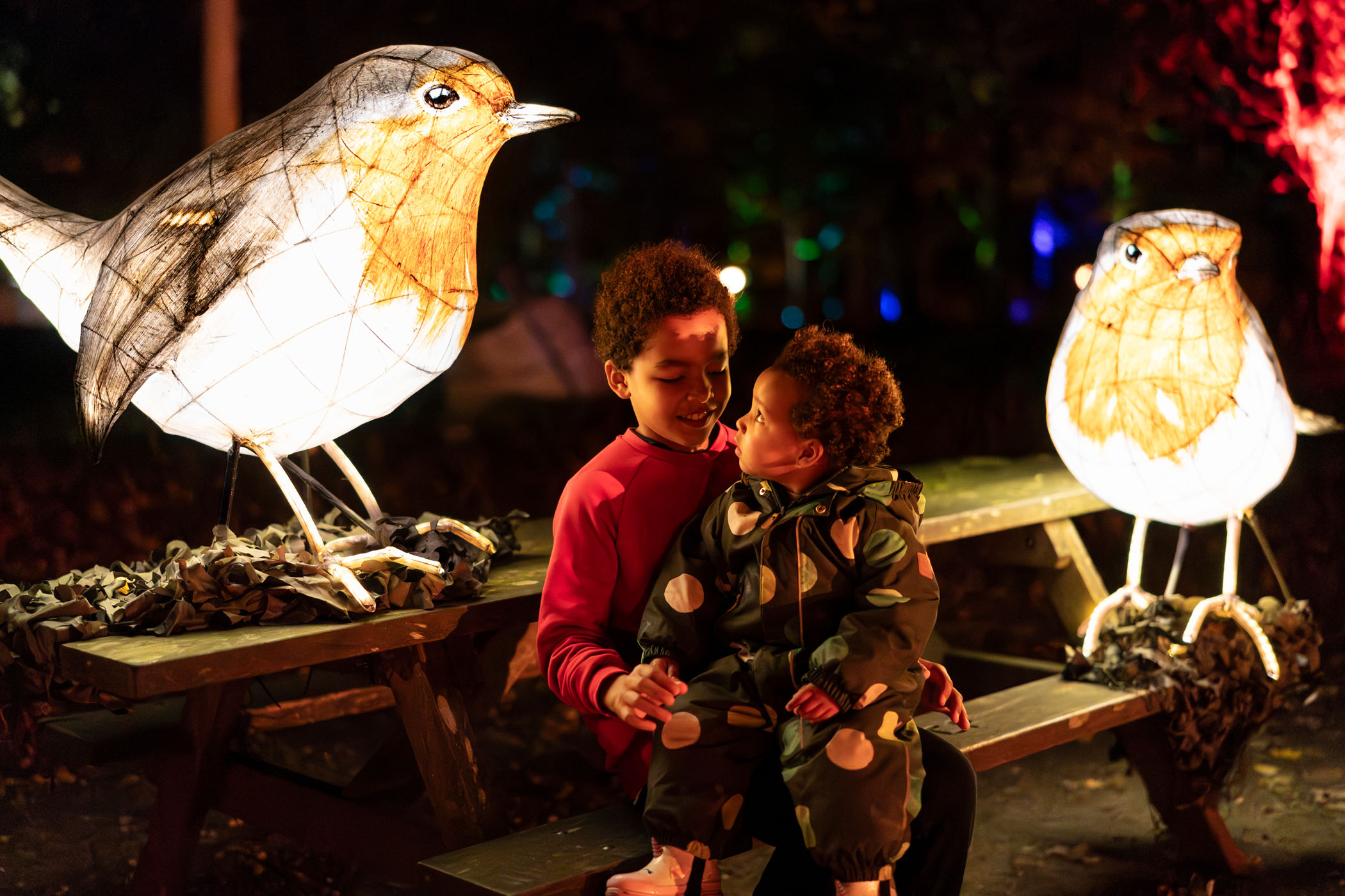 Wild Wanders, 2024, c. Rochdale Borough Council