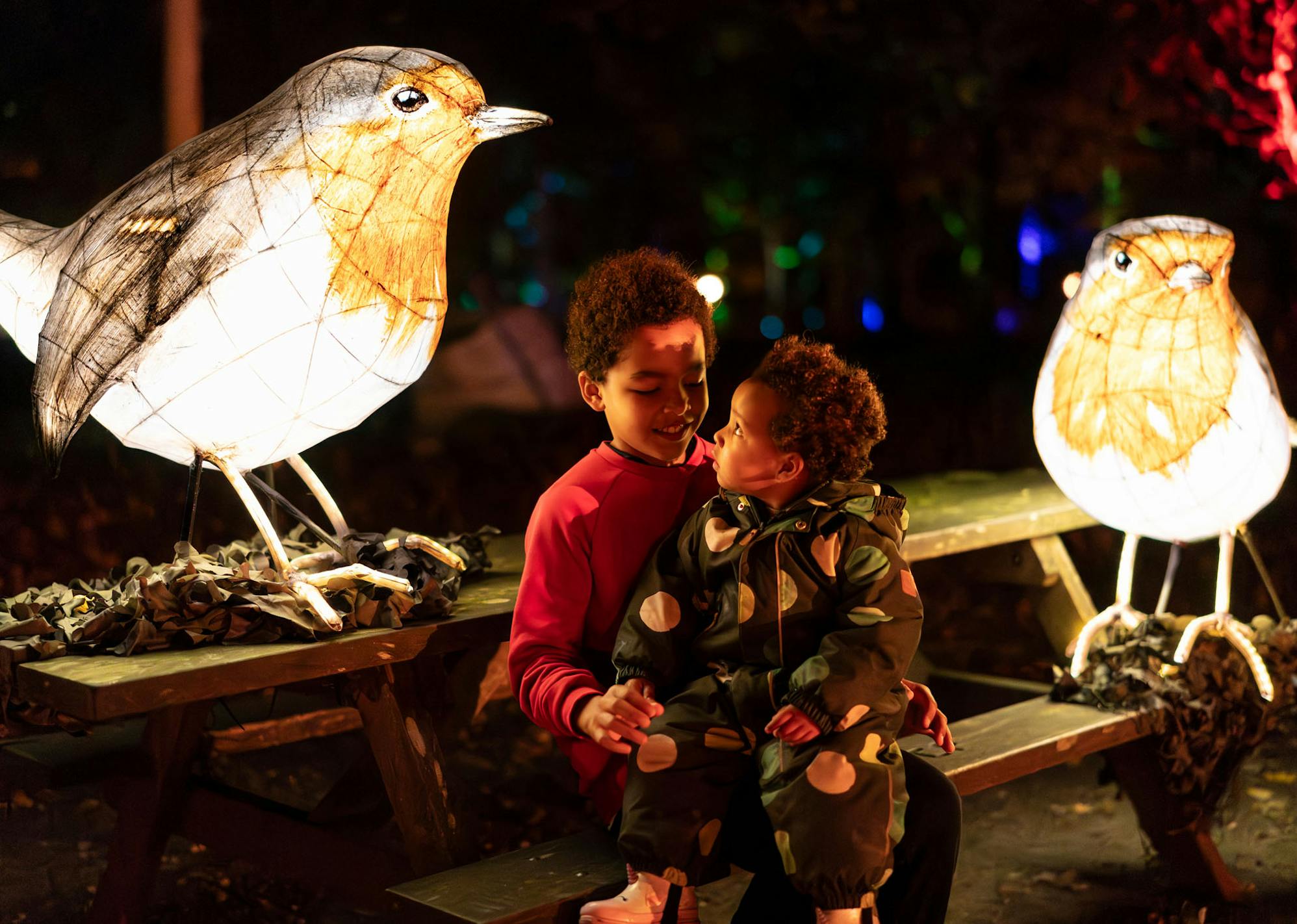 Wild Wanders, 2024, c. Rochdale Borough Council