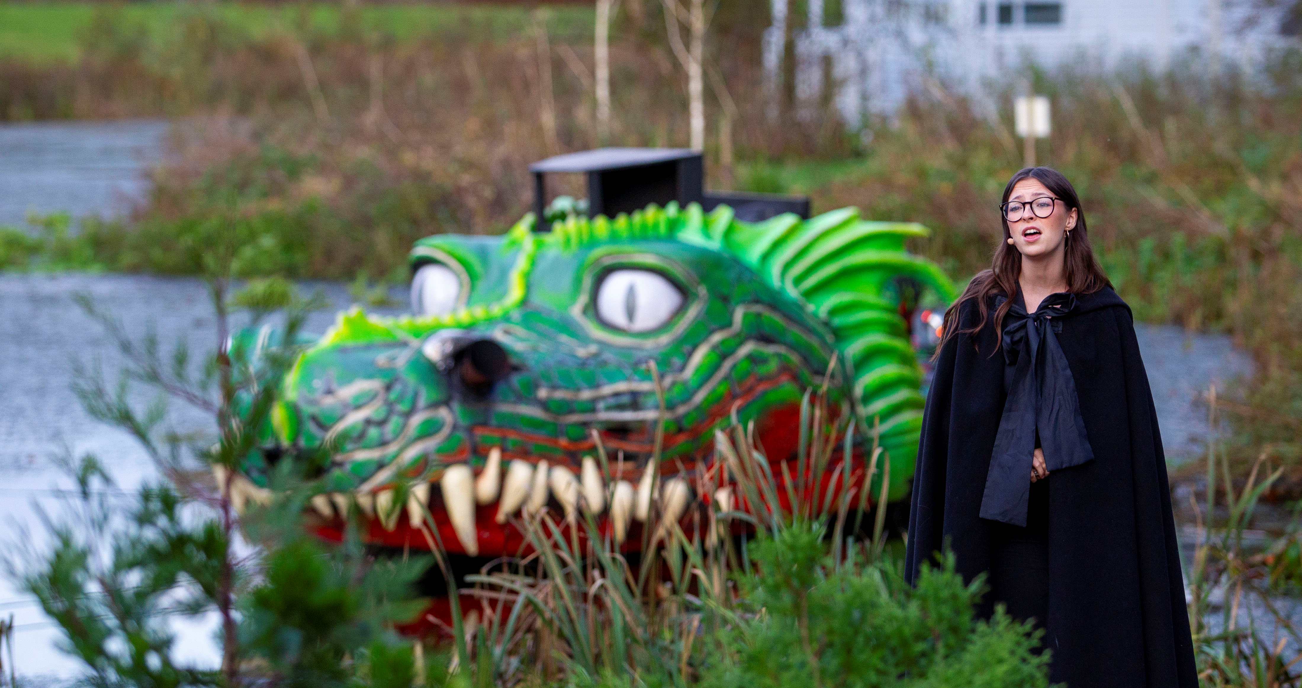 A person is a navy cape singing in front of a green dragon on water