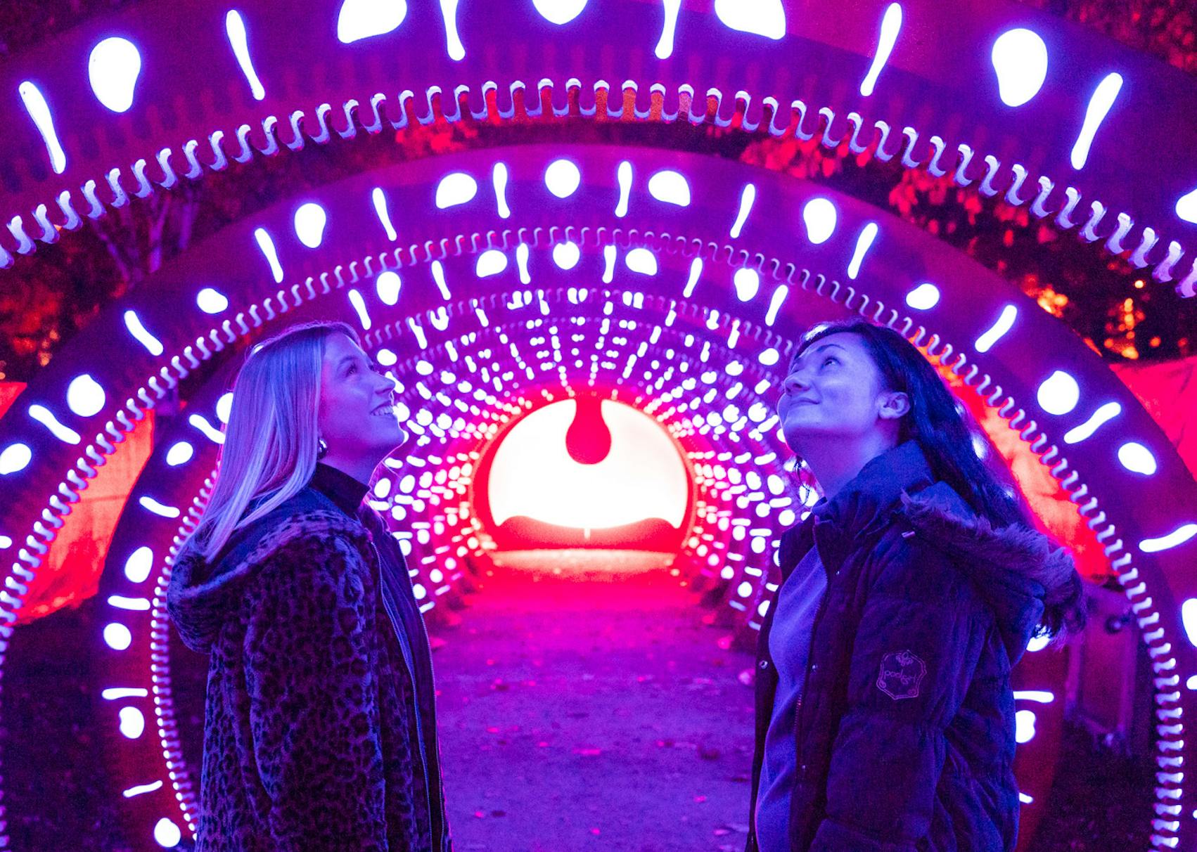A person with blonde hair and a person with brunette hair looking up facing each other in wonder at a fighting installation
