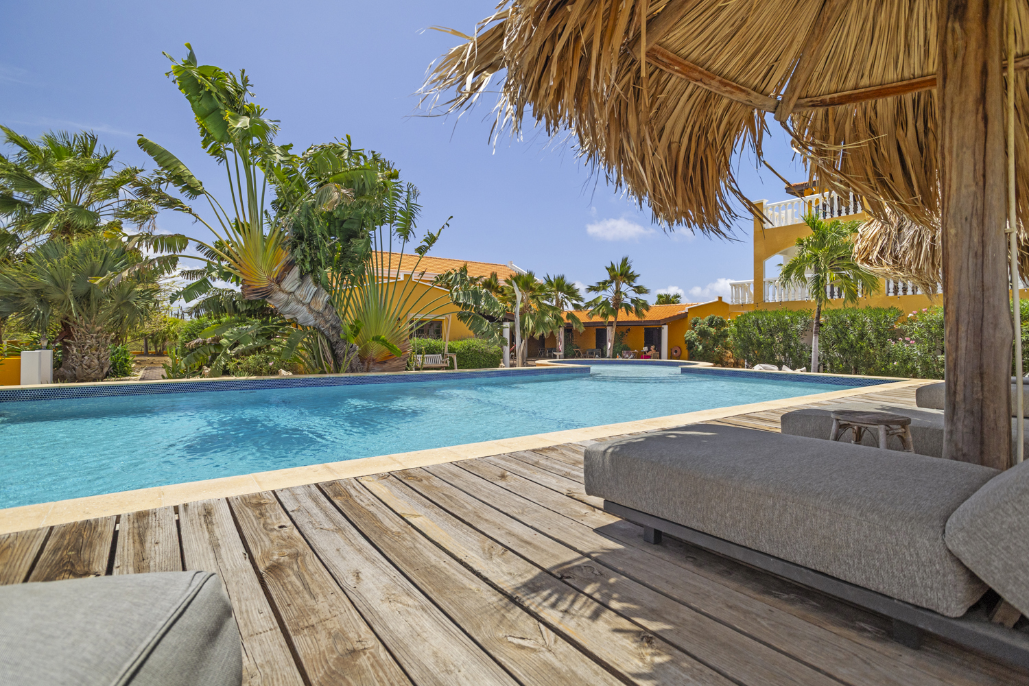 Pool and luxury sun loungers