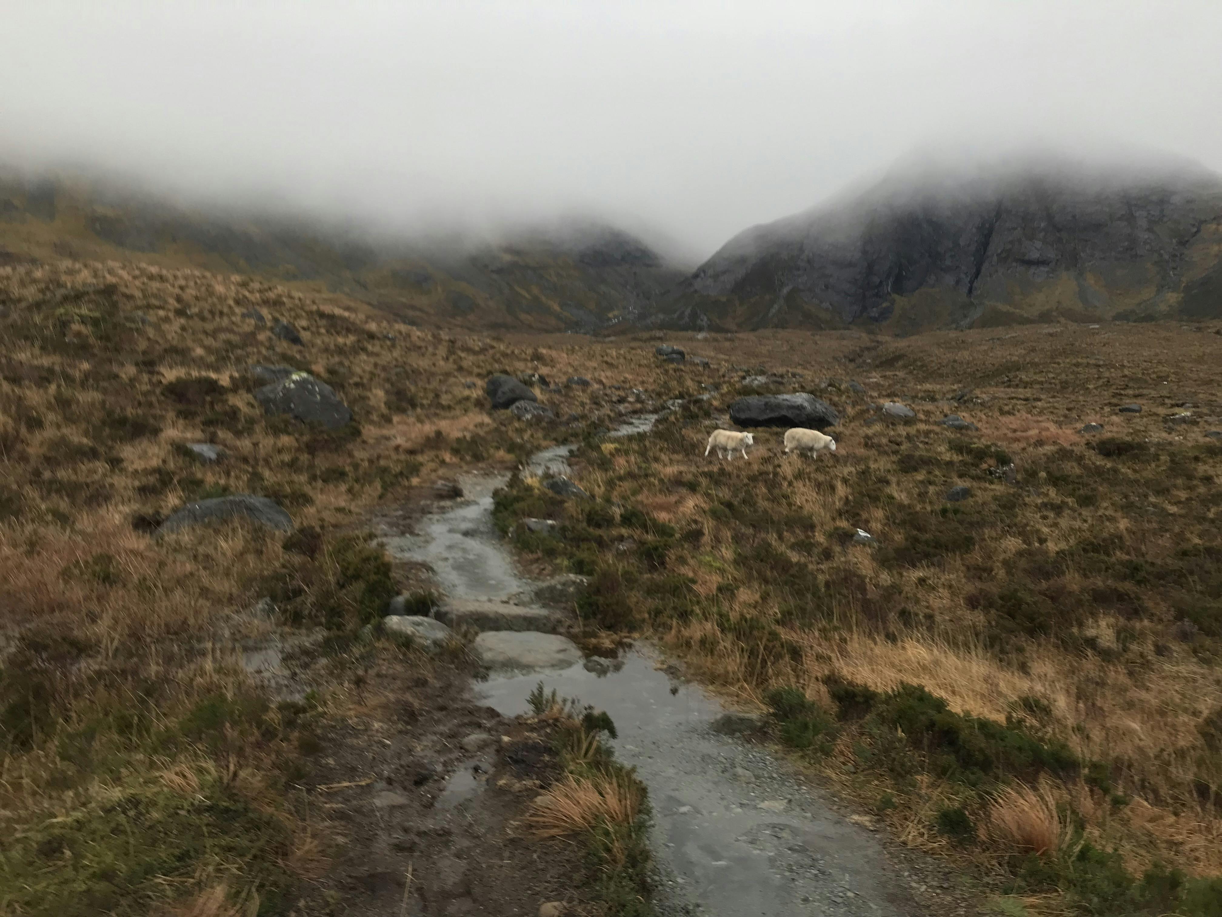 Fairy Pools in Isle of Skye Scotland