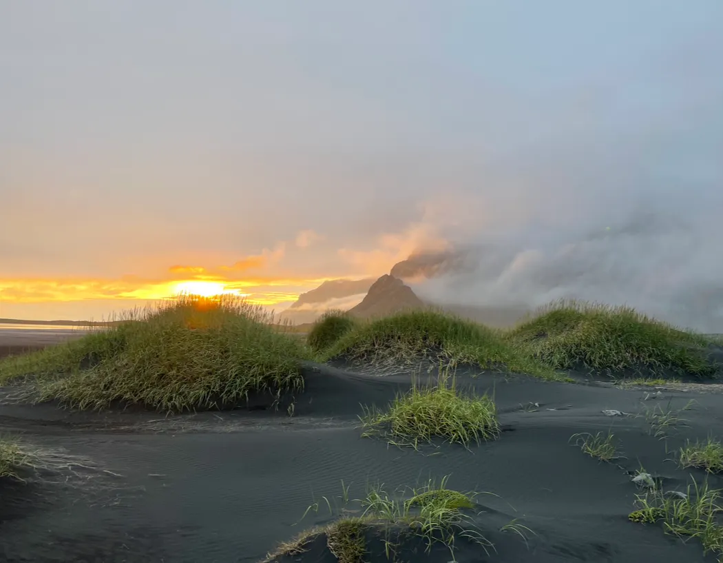 Black sand beach will rolling grass mounds with a sunset in the distance