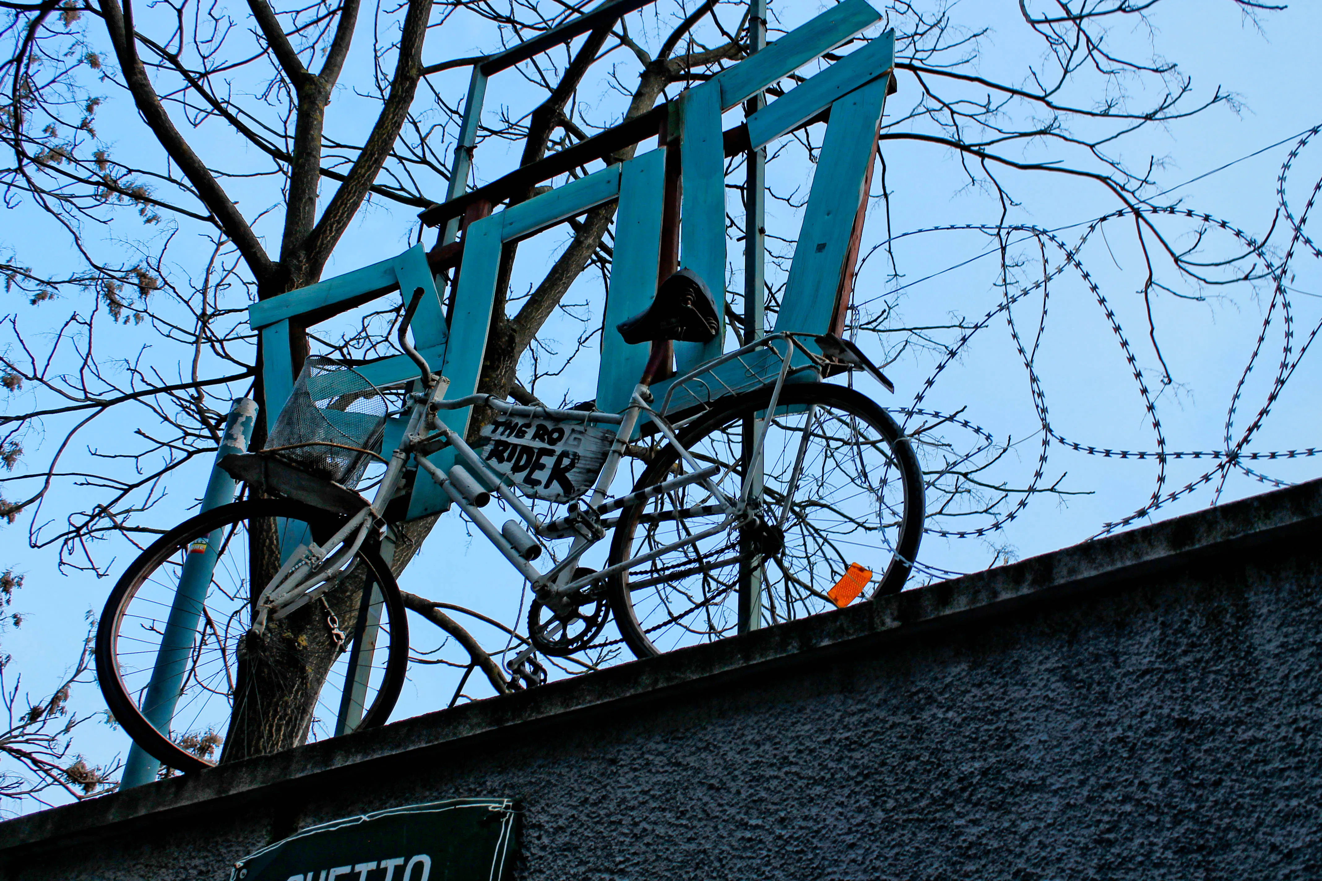 Rog in Ljubljana, Slovenia 