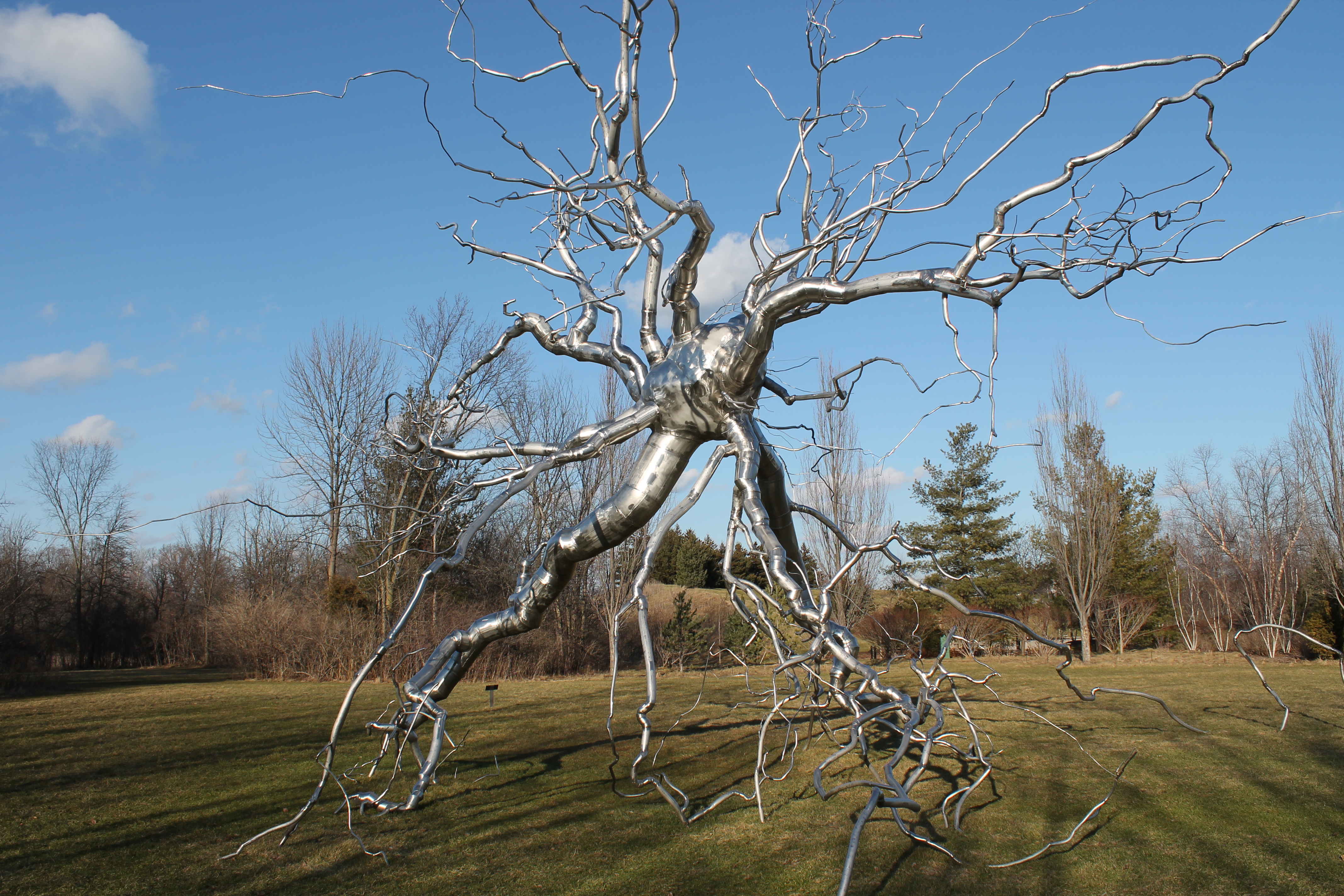 Frederik Meijer Gardens and Sculpture Park in Michigan