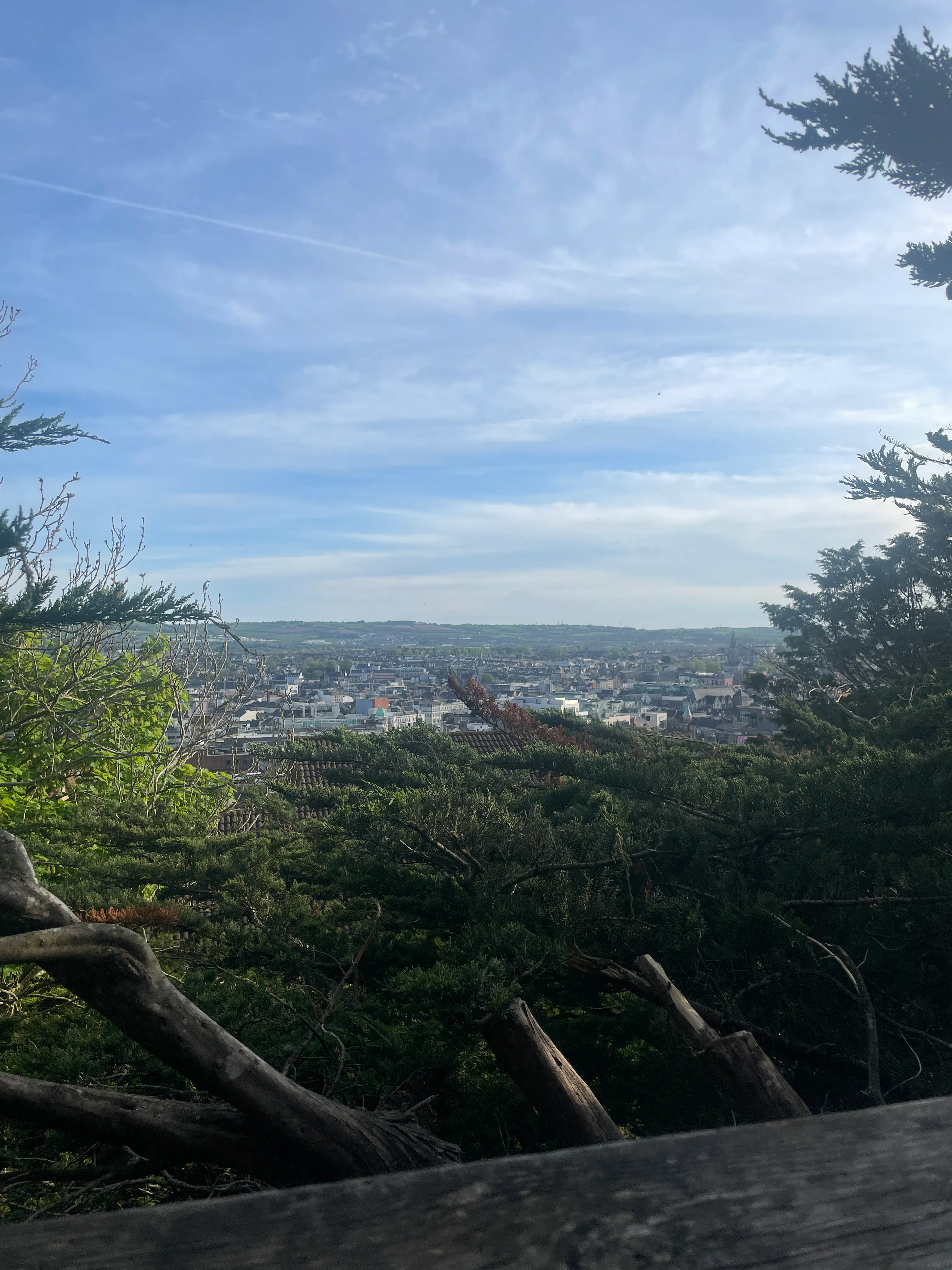 Treehouse Air BnB in Cork, Ireland