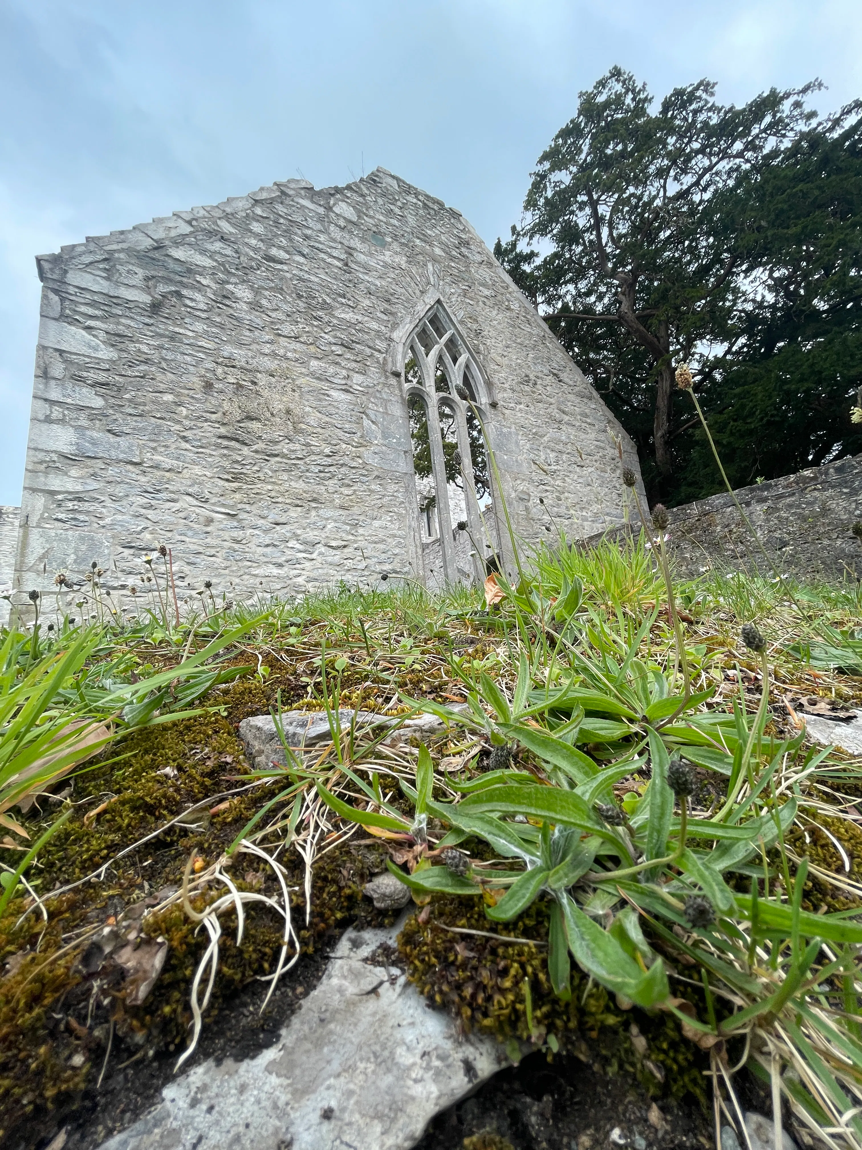 Window frame and side of the Abbey