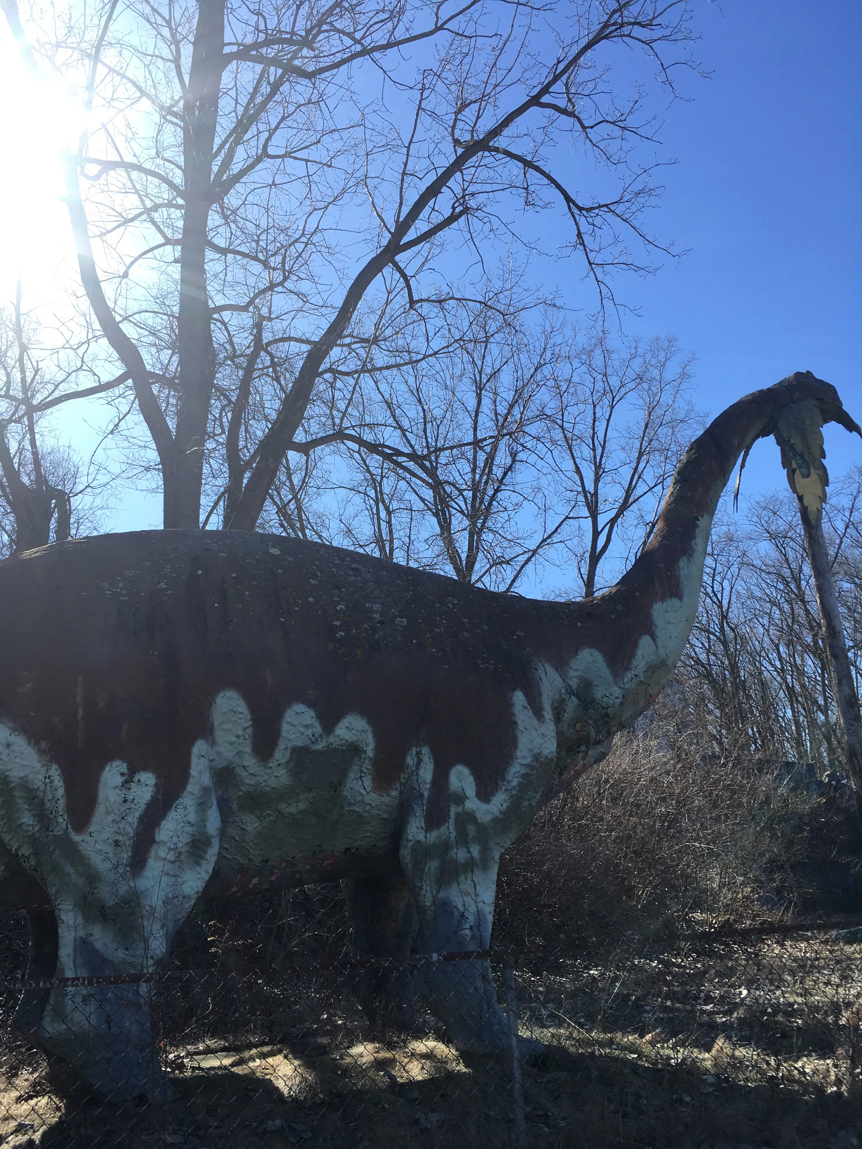 Abandoned Prehistoric Forest in Irish Hills, Michigan