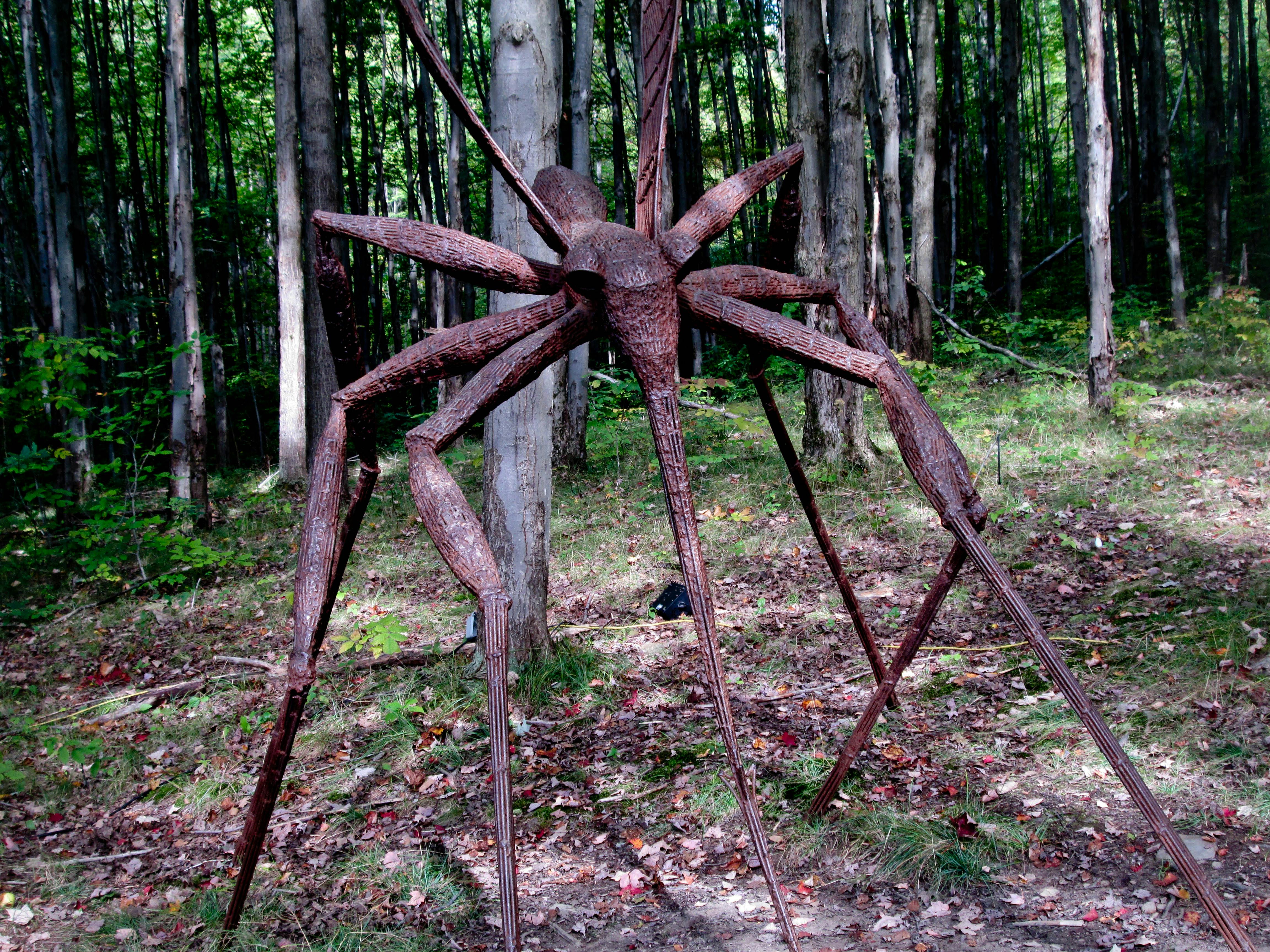 Griffis Sculpture Park in East Otto, NY