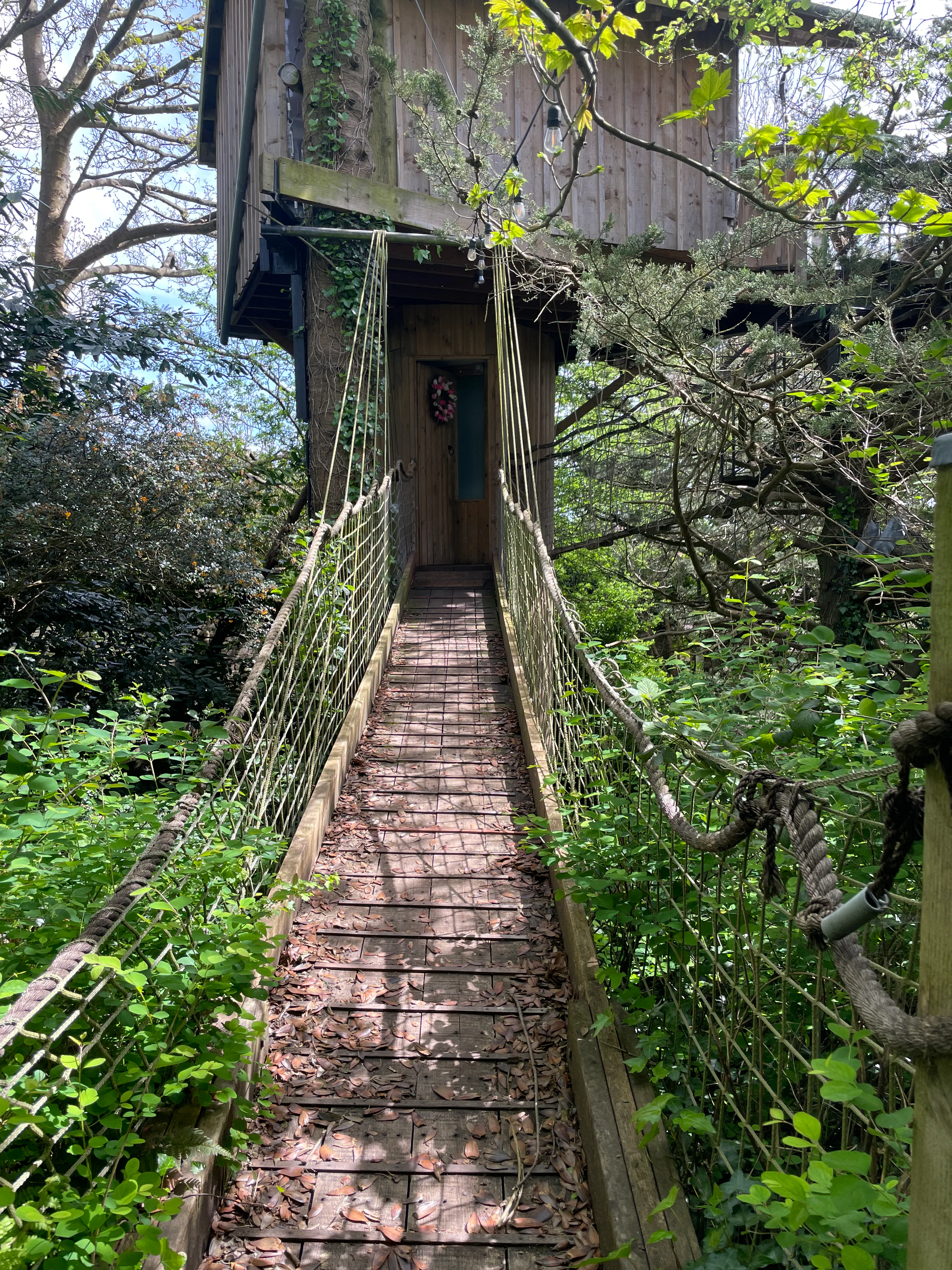 Treehouse Air BnB in Cork, Ireland