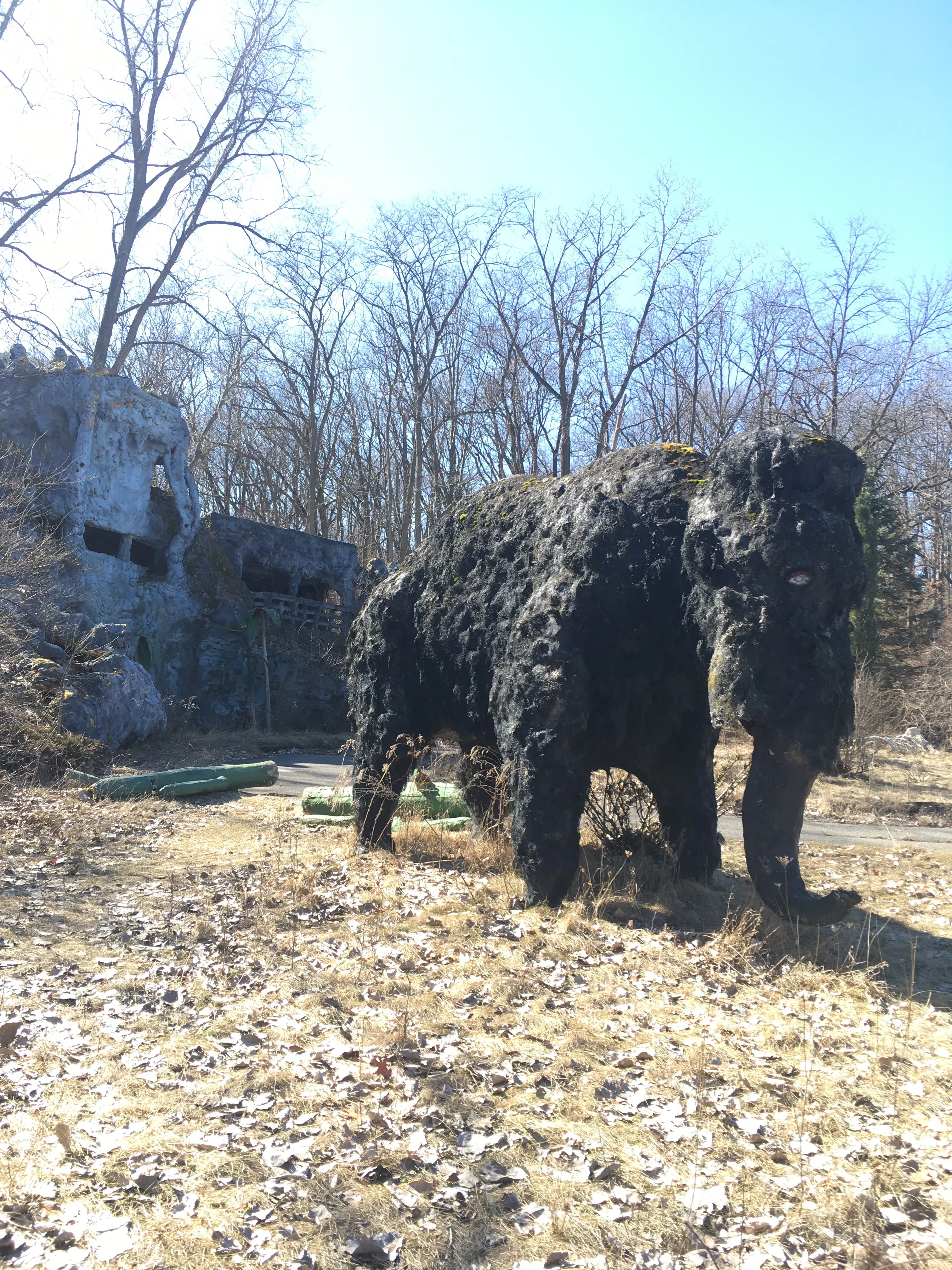 Abandoned Prehistoric Forest in Irish Hills, Michigan
