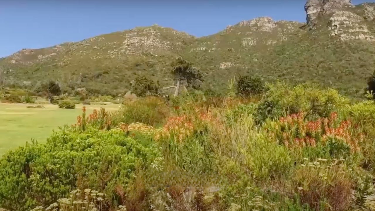 Kirstenbosch National Botanical Garden