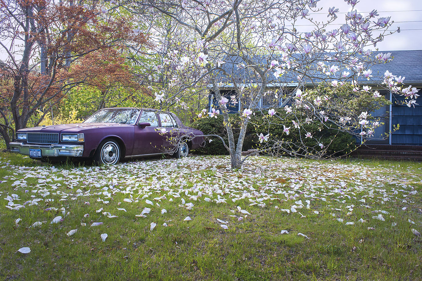 Thumbnail of Purple Car