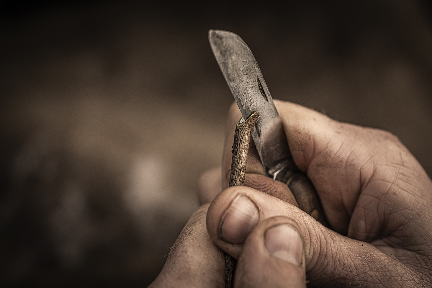 Thumbnail of Grafting1 BoomkwekerijSchalk